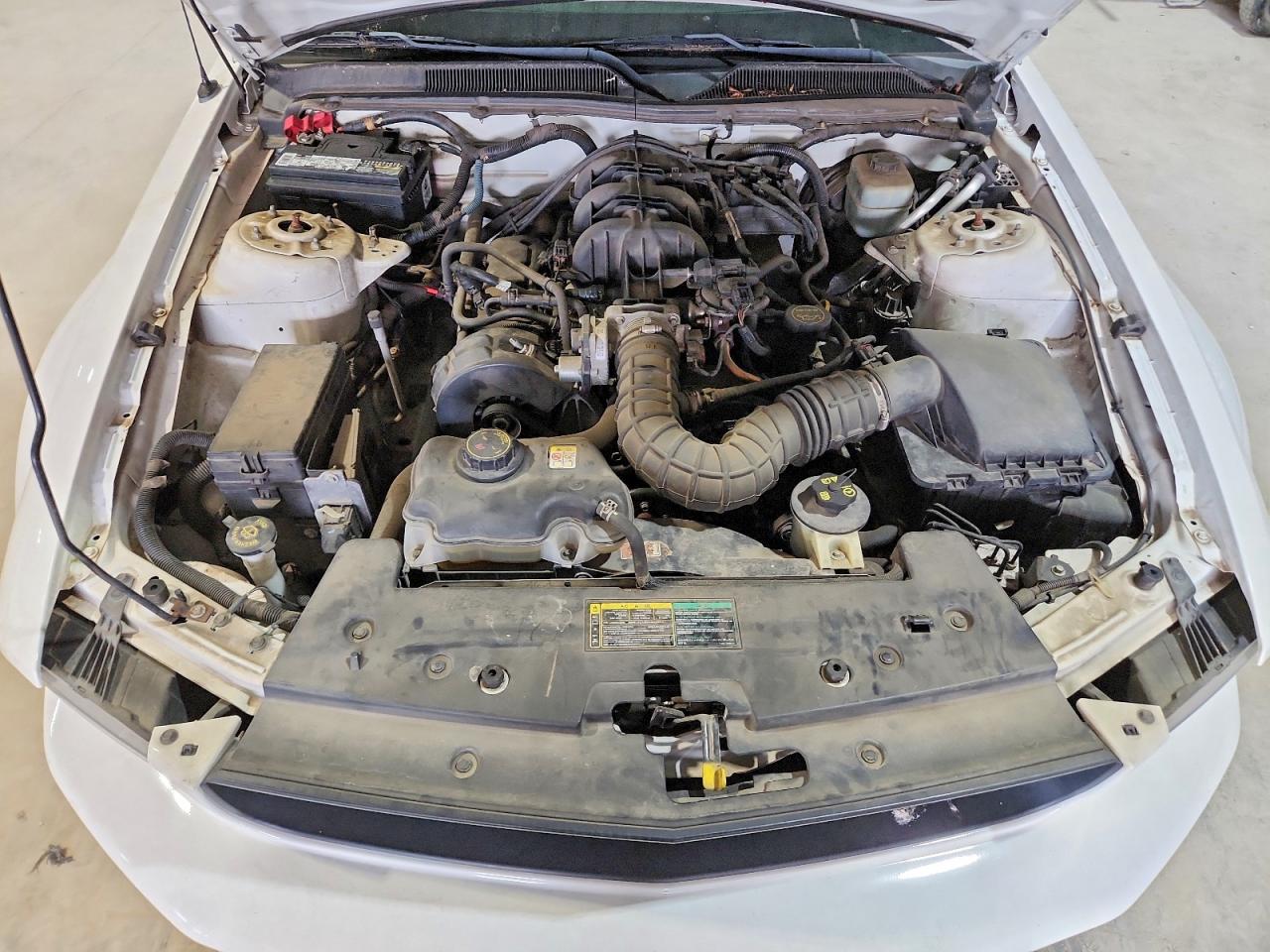 2005 Ford Mustang White vin: 1ZVFT84N555199494