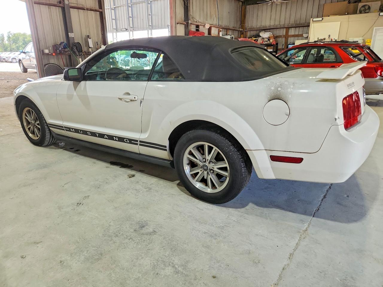 2005 Ford Mustang White vin: 1ZVFT84N555199494