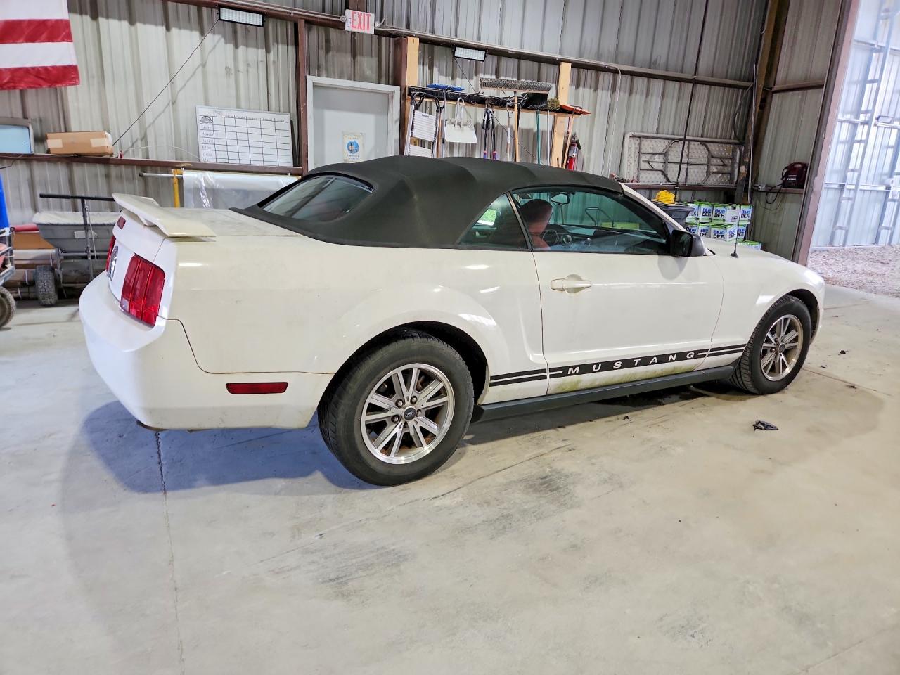 2005 Ford Mustang White vin: 1ZVFT84N555199494