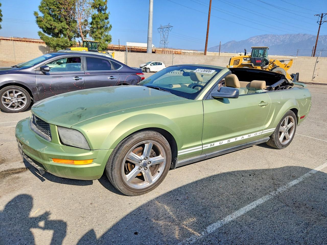 2005 Ford Mustang Green vin: 1ZVFT84N555244580