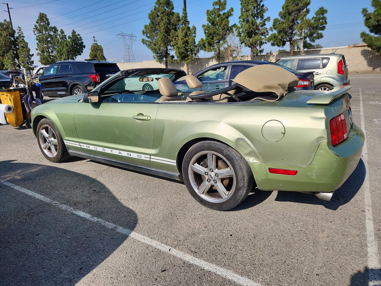 2005 Ford Mustang Green vin: 1ZVFT84N555244580