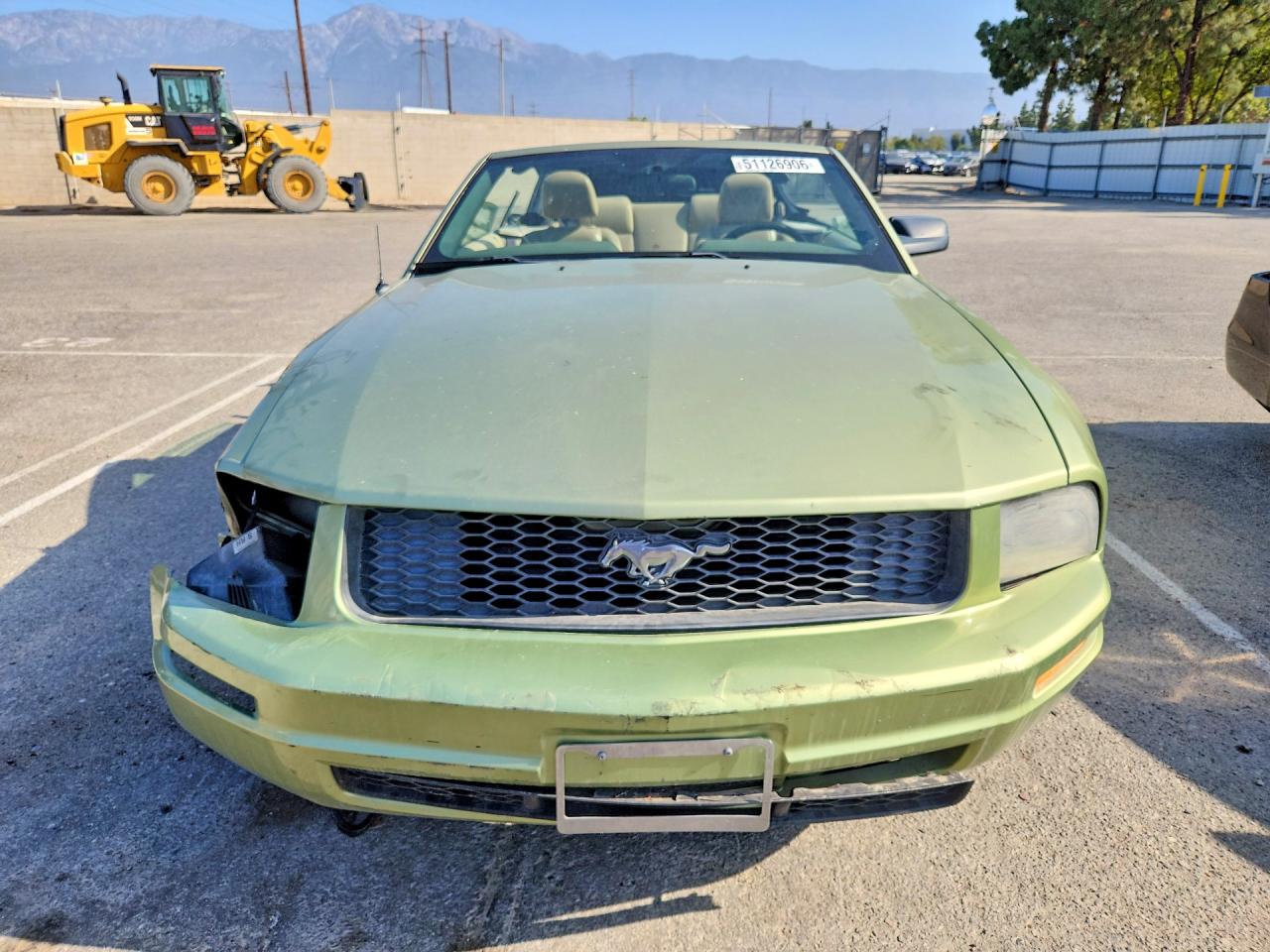 2005 Ford Mustang Green vin: 1ZVFT84N555244580