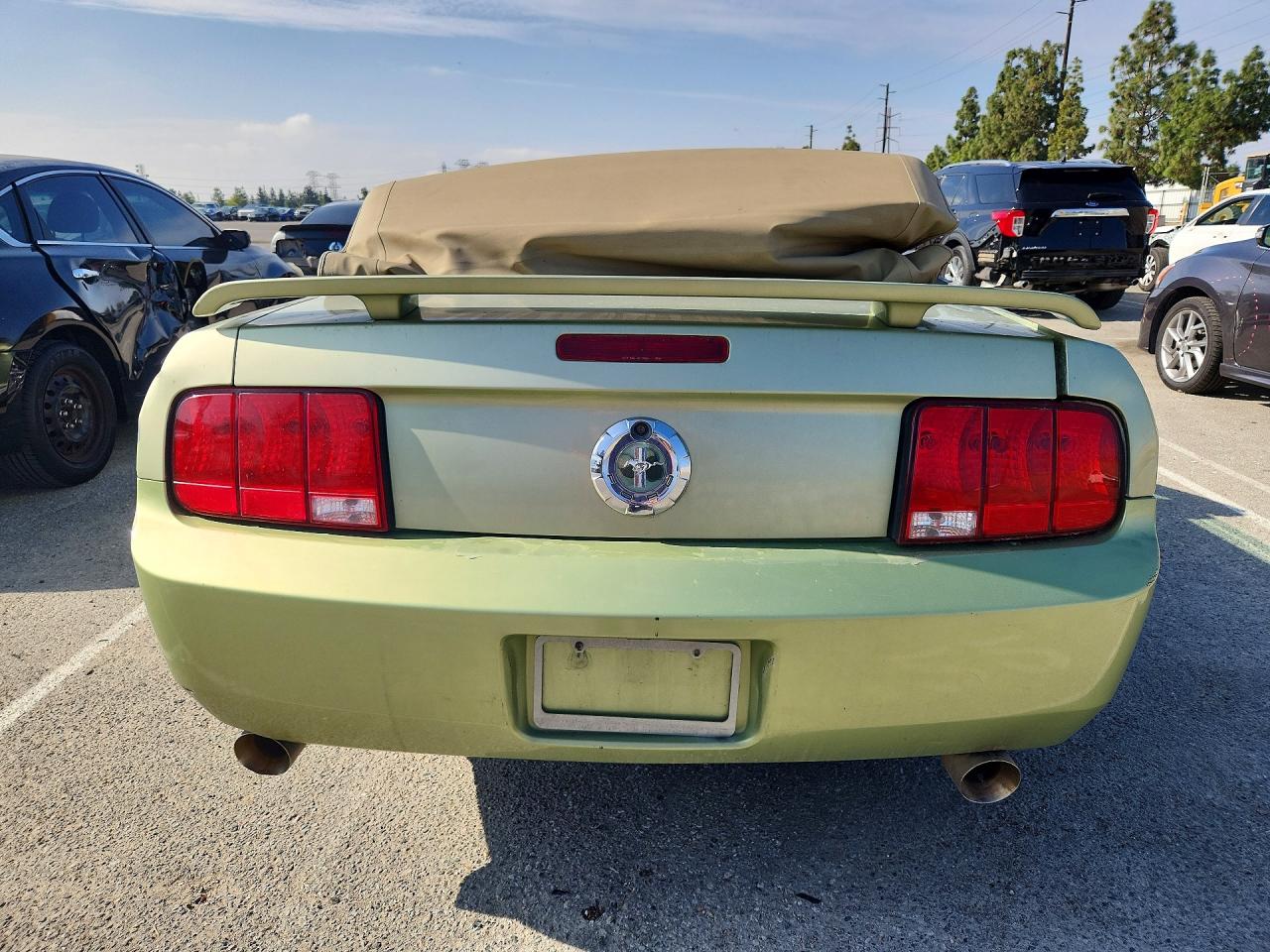 2005 Ford Mustang Green vin: 1ZVFT84N555244580