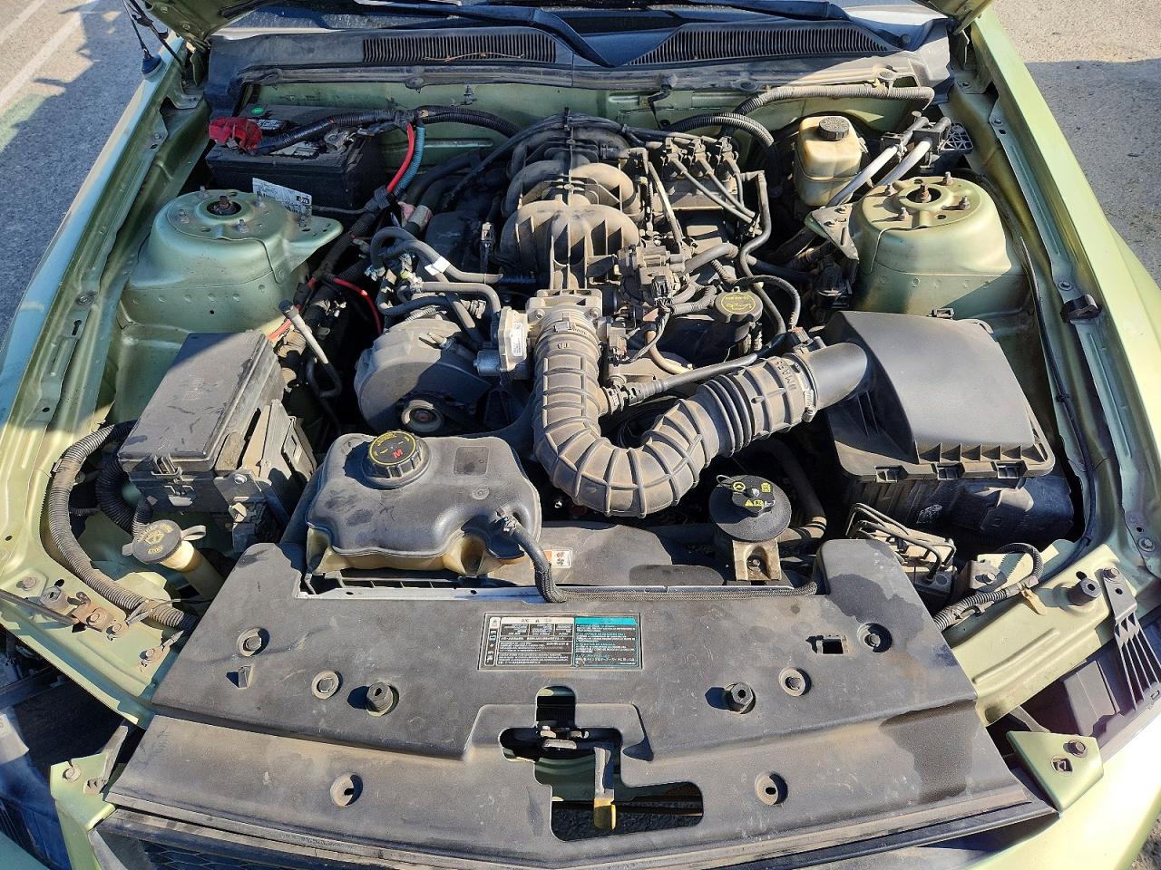 2005 Ford Mustang Green vin: 1ZVFT84N555244580