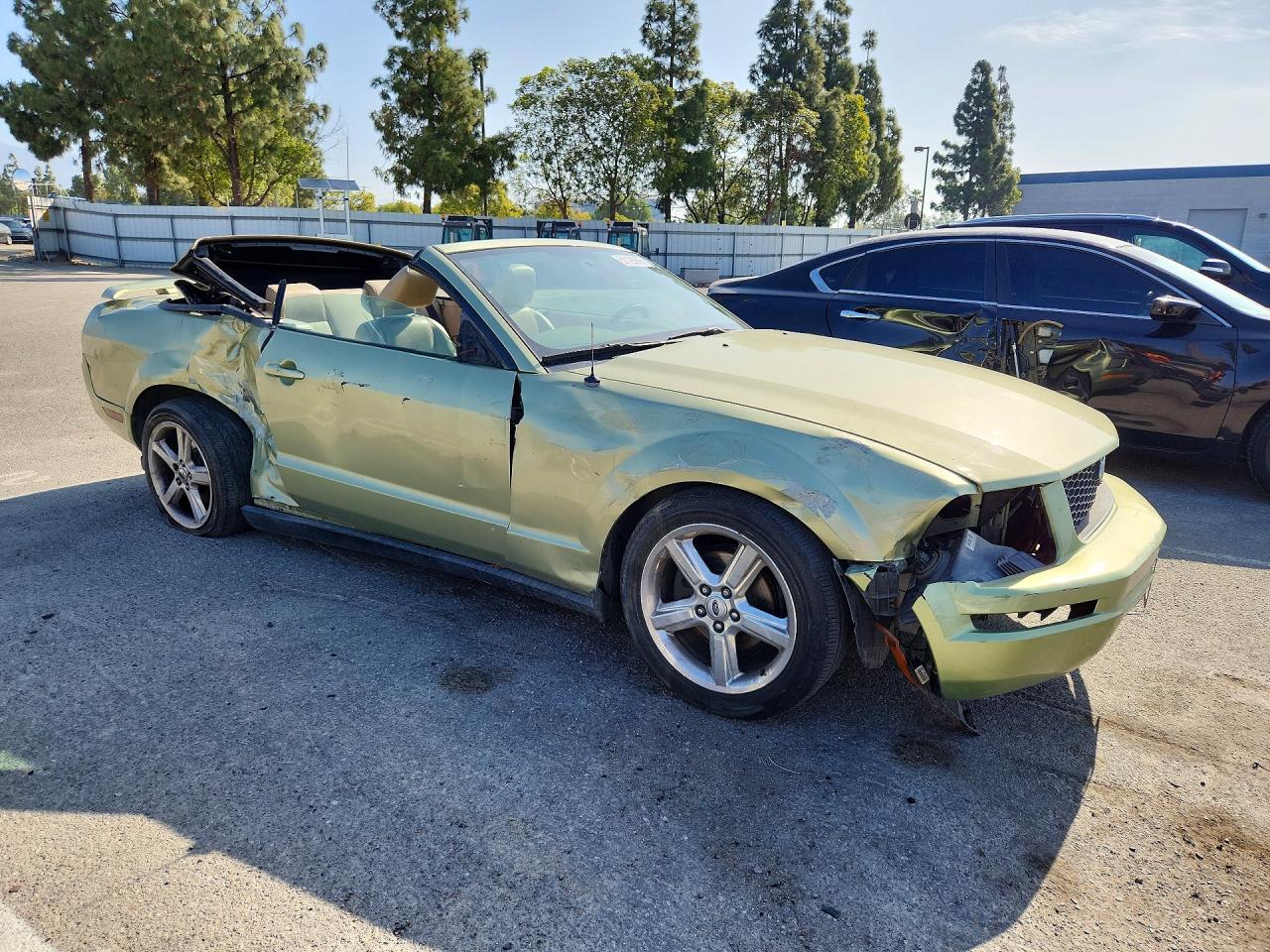 2005 Ford Mustang Green vin: 1ZVFT84N555244580