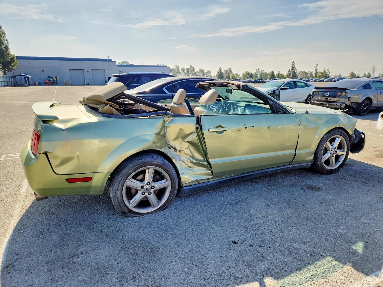 2005 Ford Mustang Green vin: 1ZVFT84N555244580