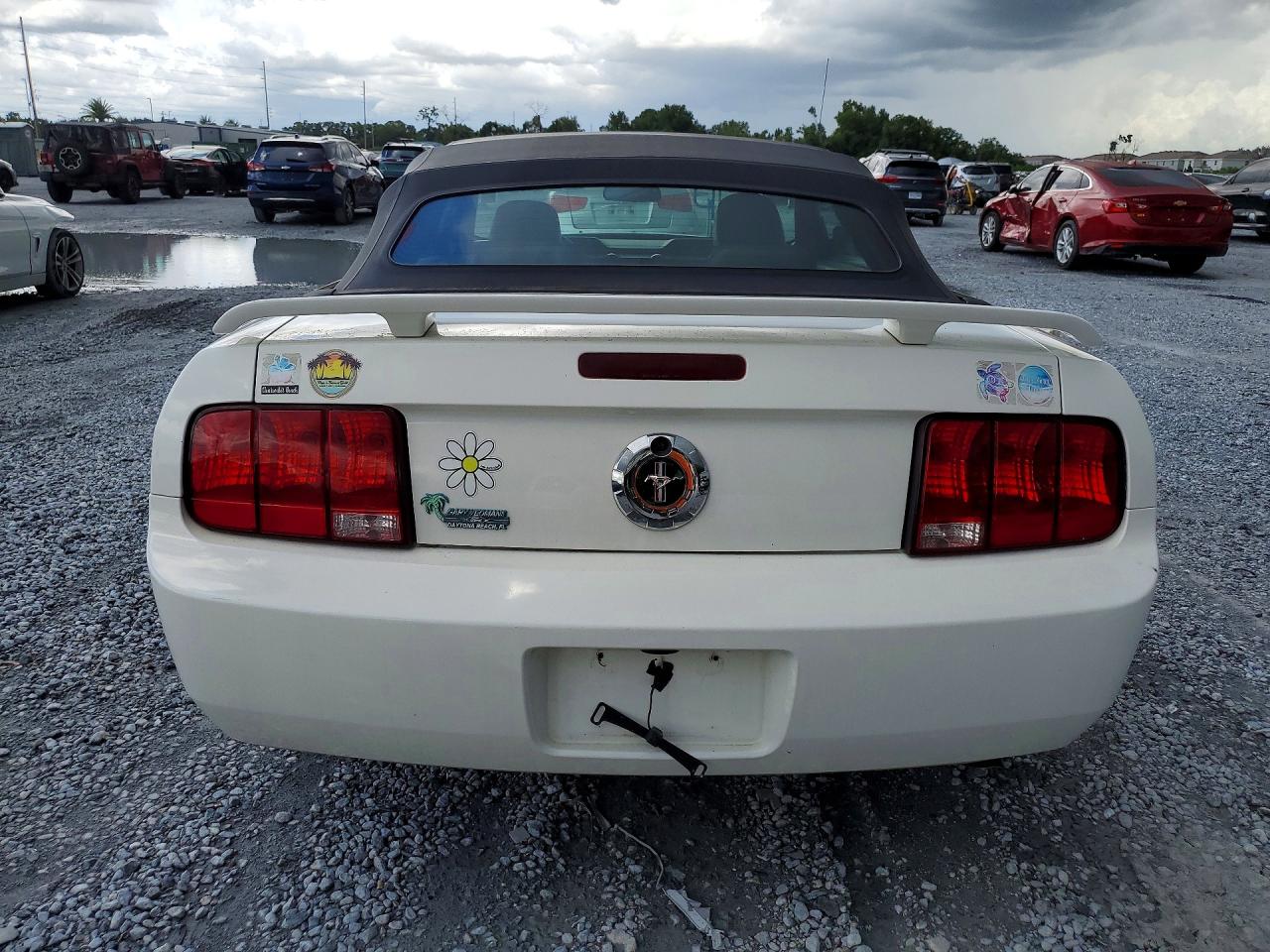 2005 Ford Mustang White vin: 1ZVFT84N555247611