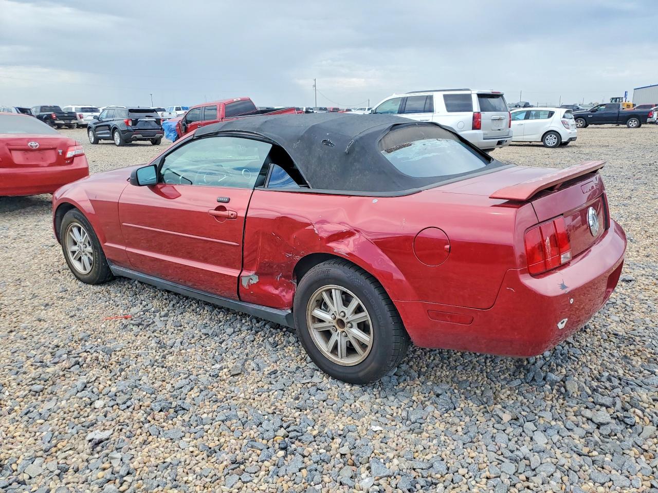 2006 Ford Mustang Red vin: 1ZVFT84N565189761