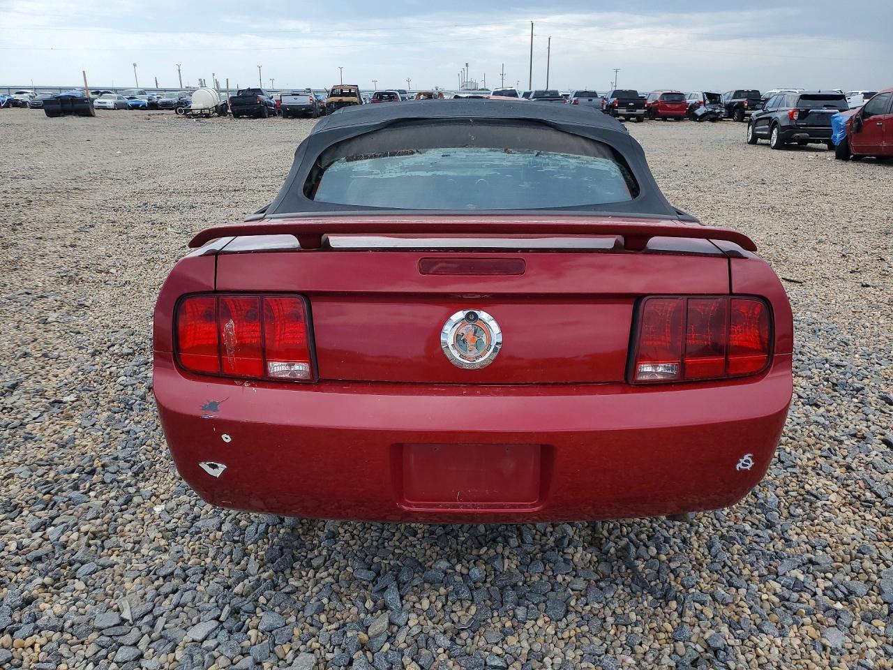 2006 Ford Mustang Red vin: 1ZVFT84N565189761