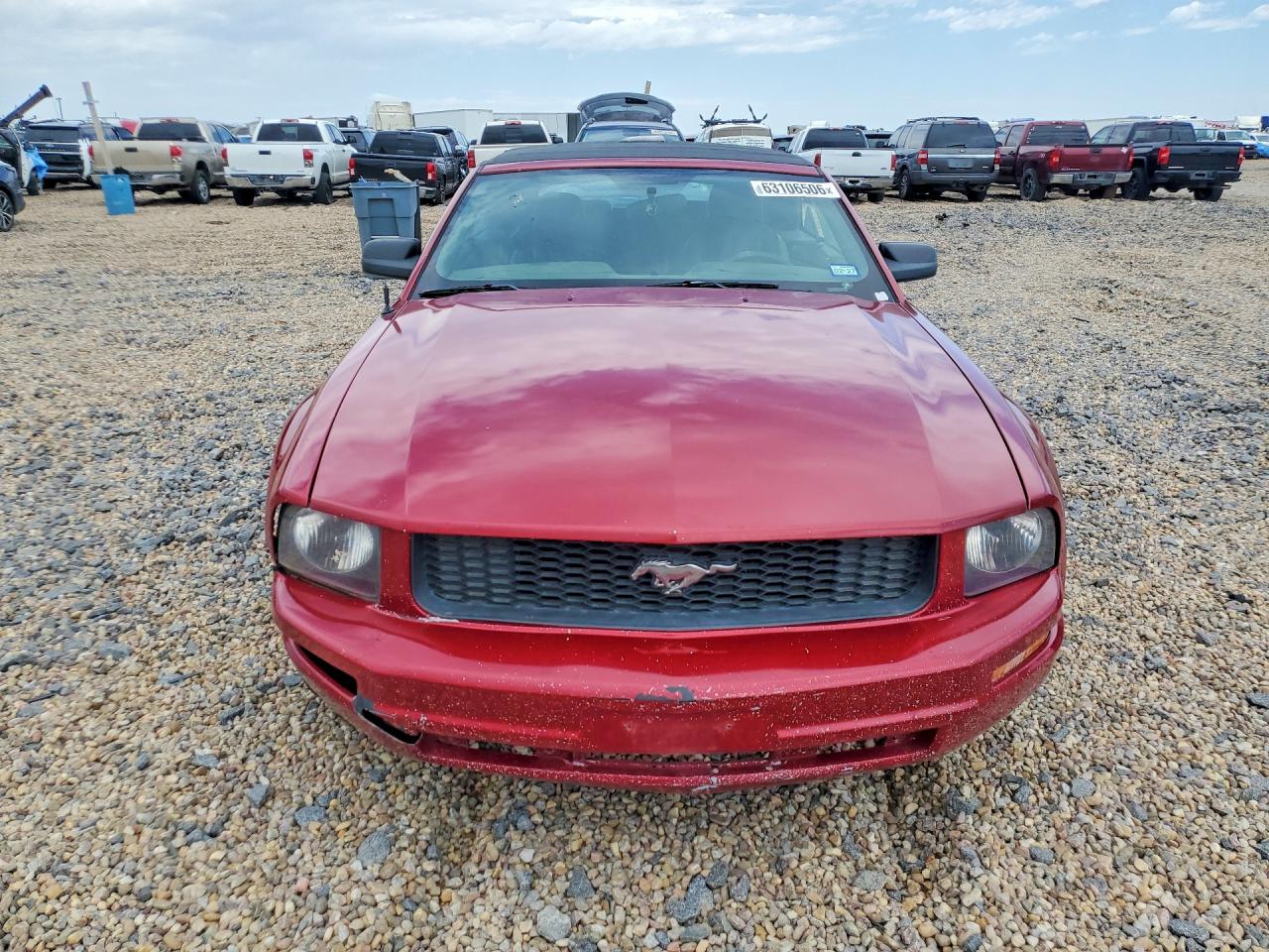 2006 Ford Mustang Red vin: 1ZVFT84N565189761