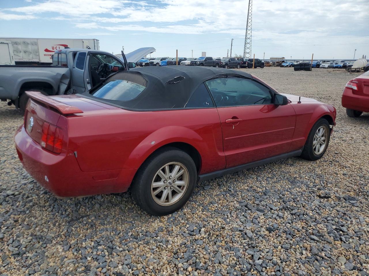 2006 Ford Mustang Red vin: 1ZVFT84N565189761