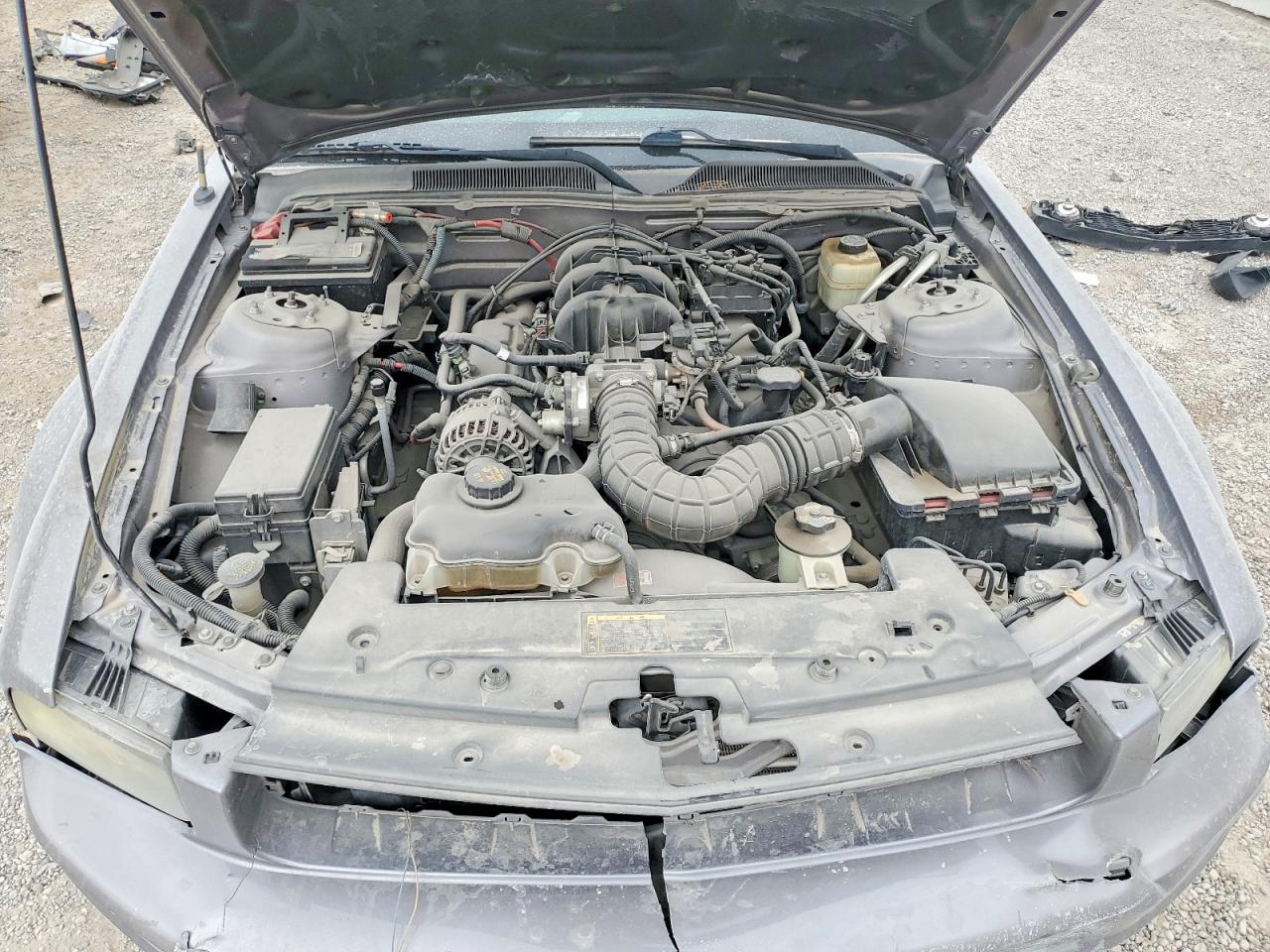 2006 Ford Mustang Серебряный vin: 1ZVFT84N565254754