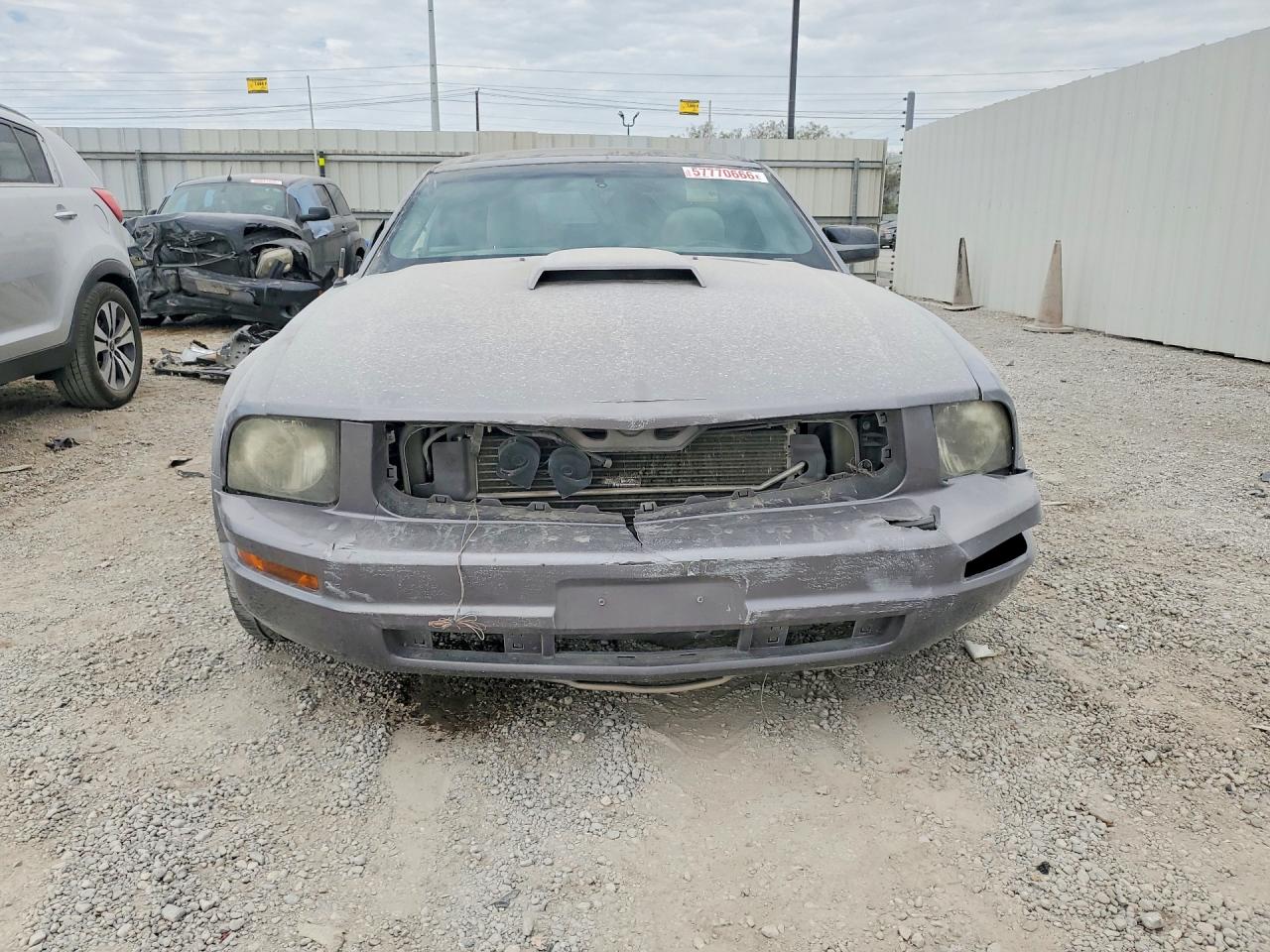 2006 Ford Mustang Серебряный vin: 1ZVFT84N565254754