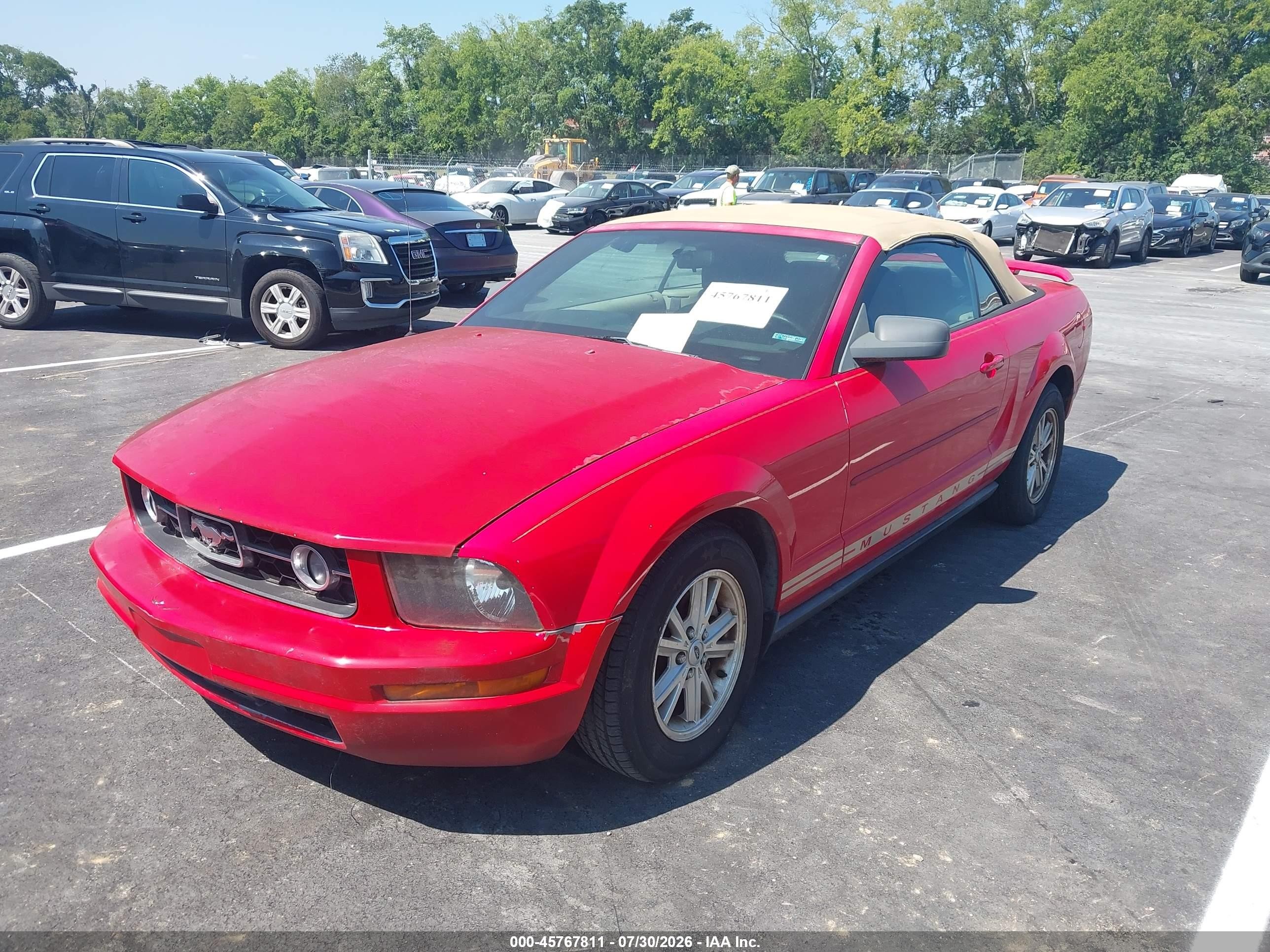 2006 Ford Mustang V6 Red vin: 1ZVFT84N565262126