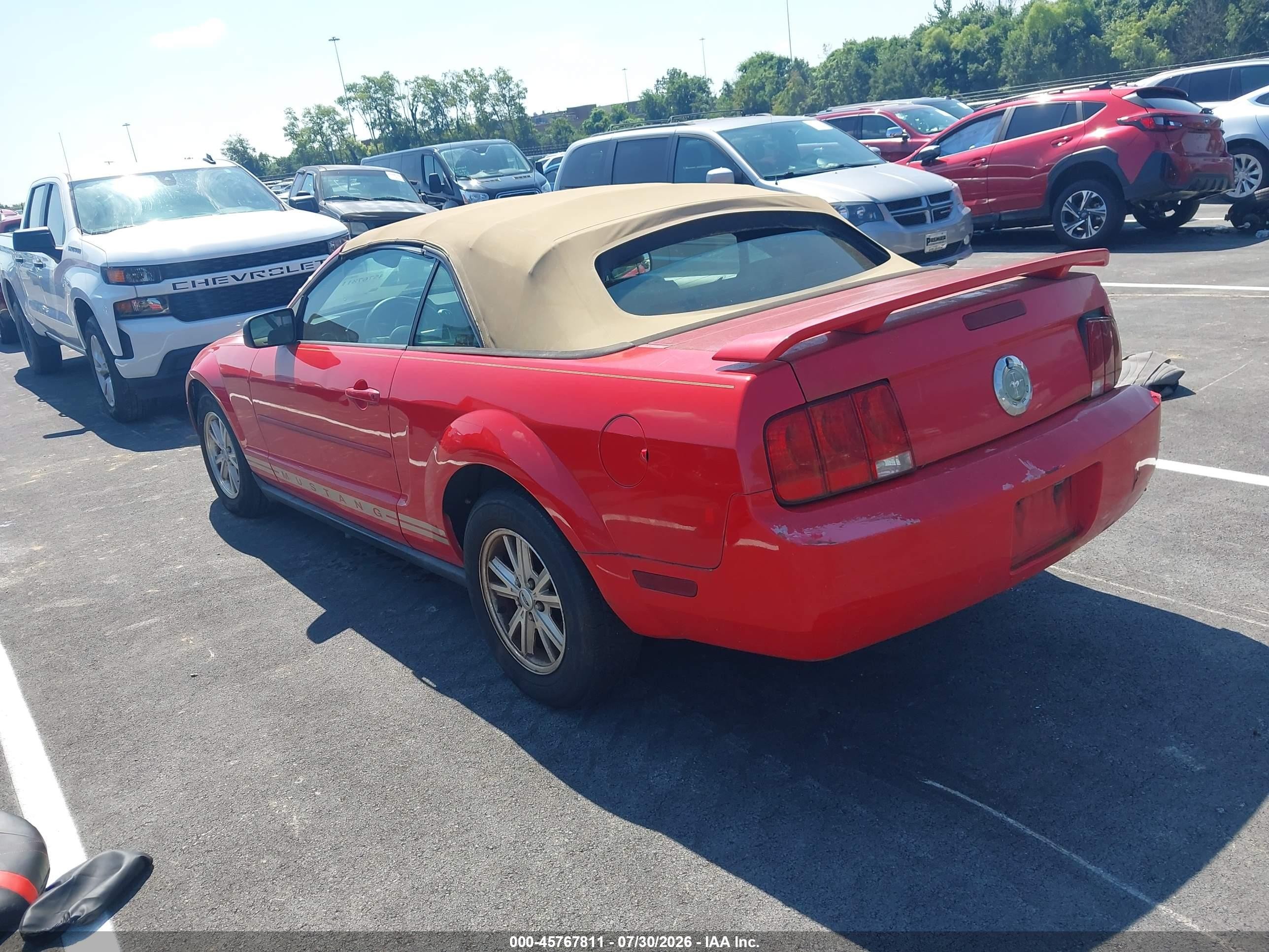 2006 Ford Mustang V6 Red vin: 1ZVFT84N565262126