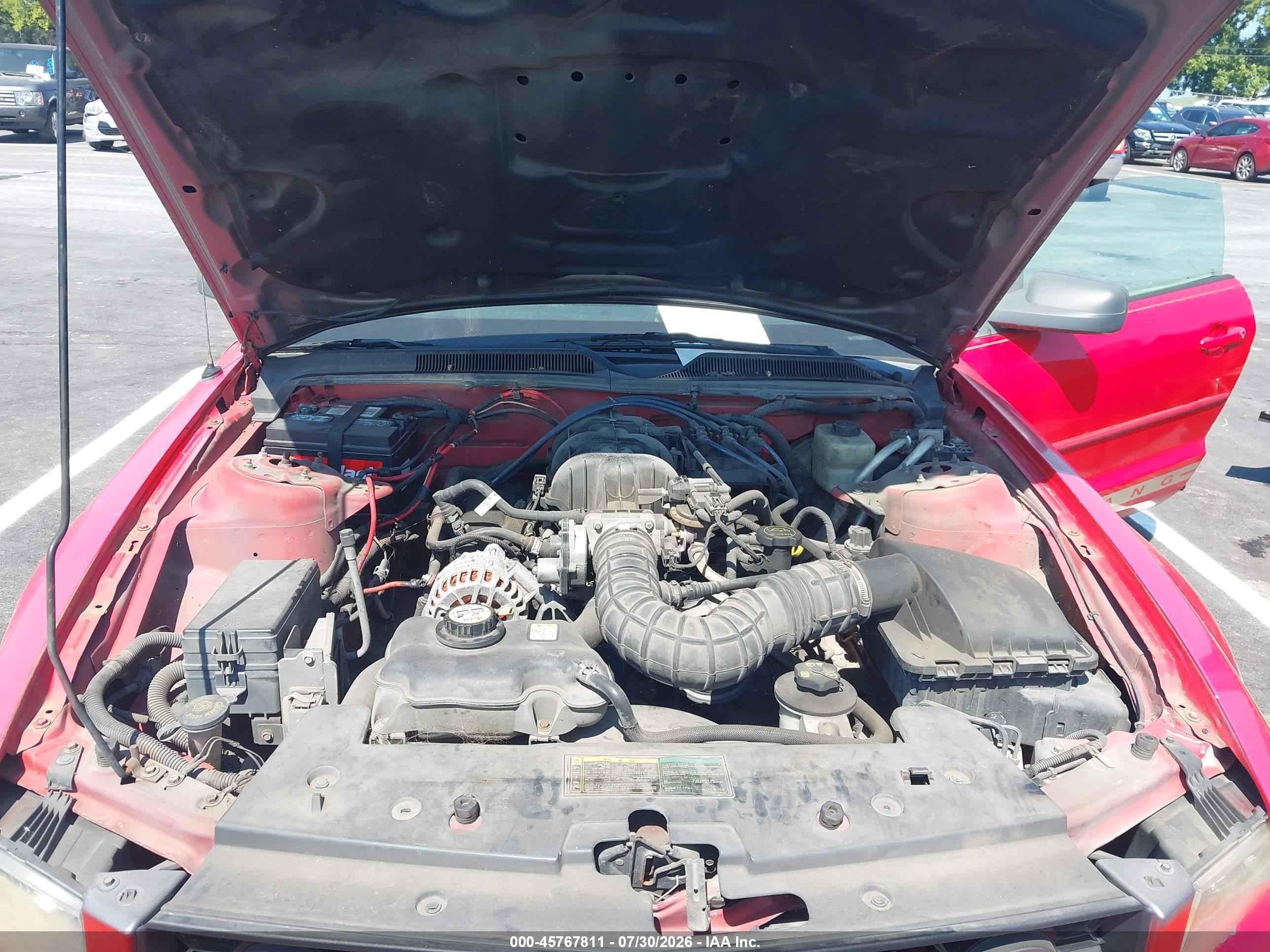 2006 Ford Mustang V6 Red vin: 1ZVFT84N565262126