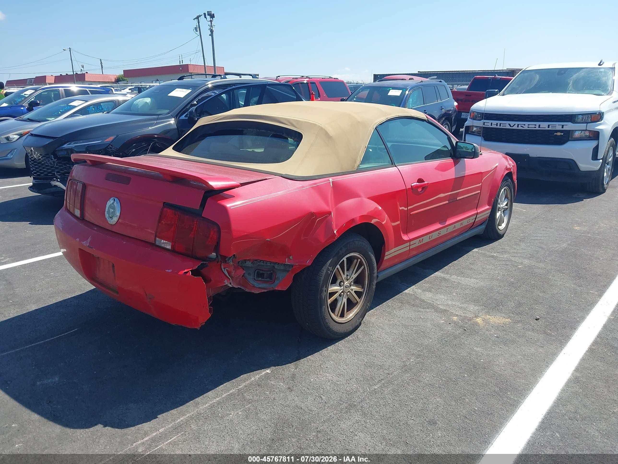 2006 Ford Mustang V6 Red vin: 1ZVFT84N565262126
