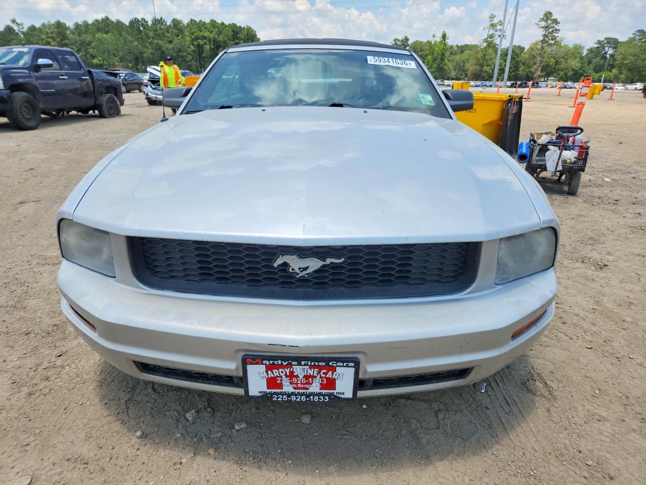 2005 Ford Mustang Silver vin: 1ZVFT84N655215976