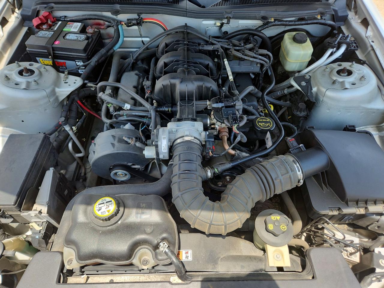 2005 Ford Mustang Silver vin: 1ZVFT84N655215976