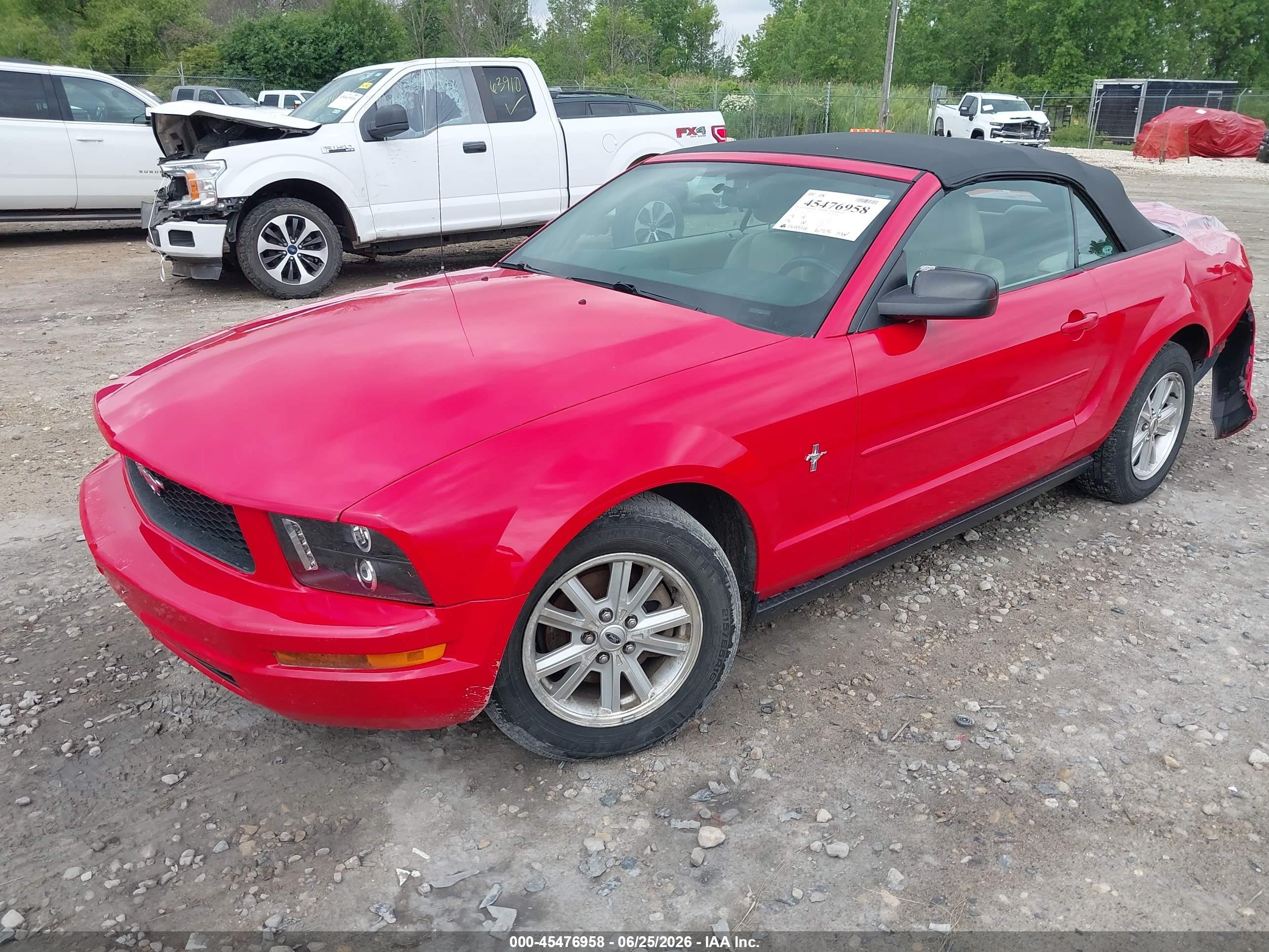 2006 Ford Mustang V6 Red vin: 1ZVFT84N665138737