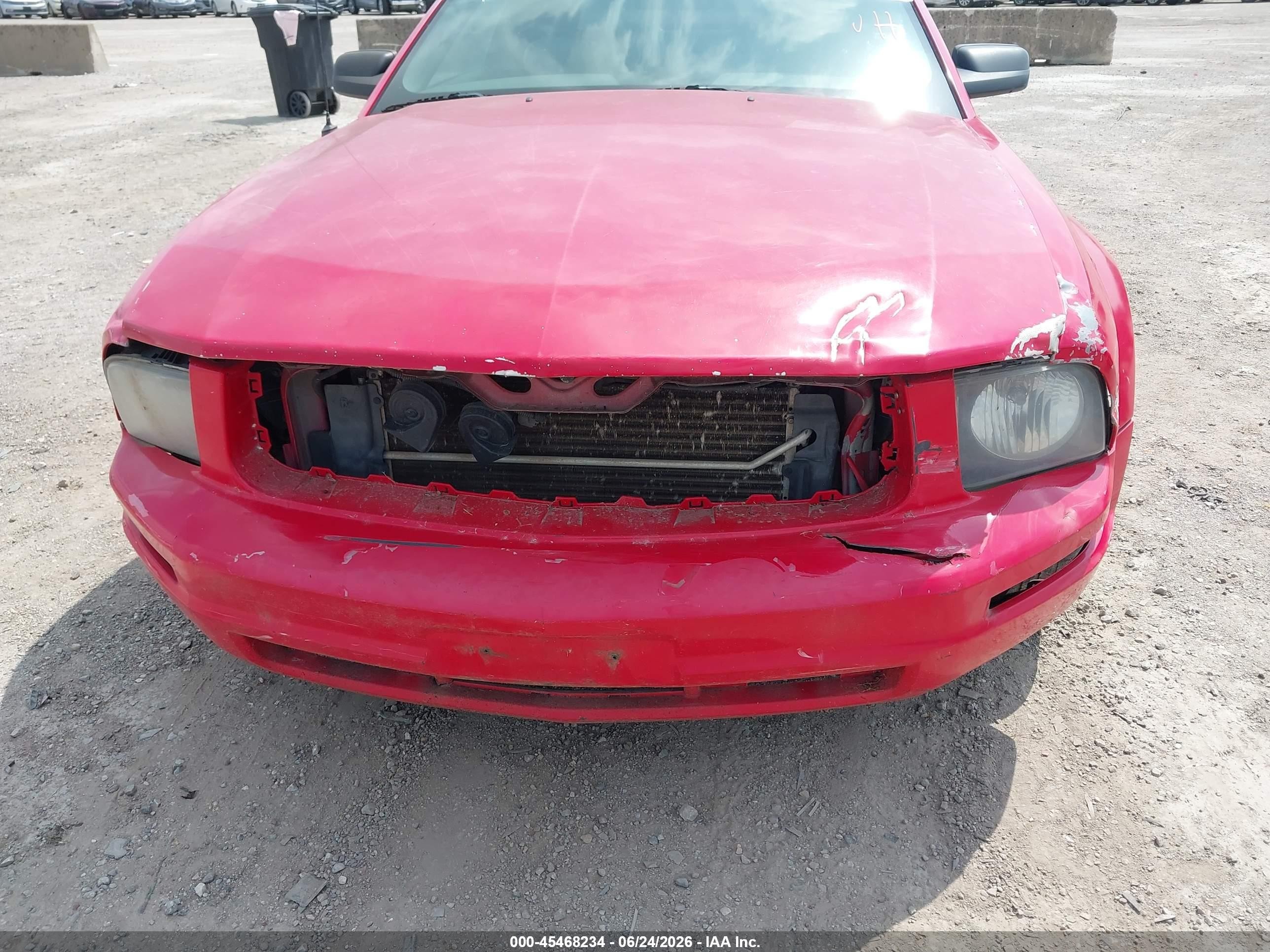 2006 Ford Mustang V6 Red vin: 1ZVFT84N665189140