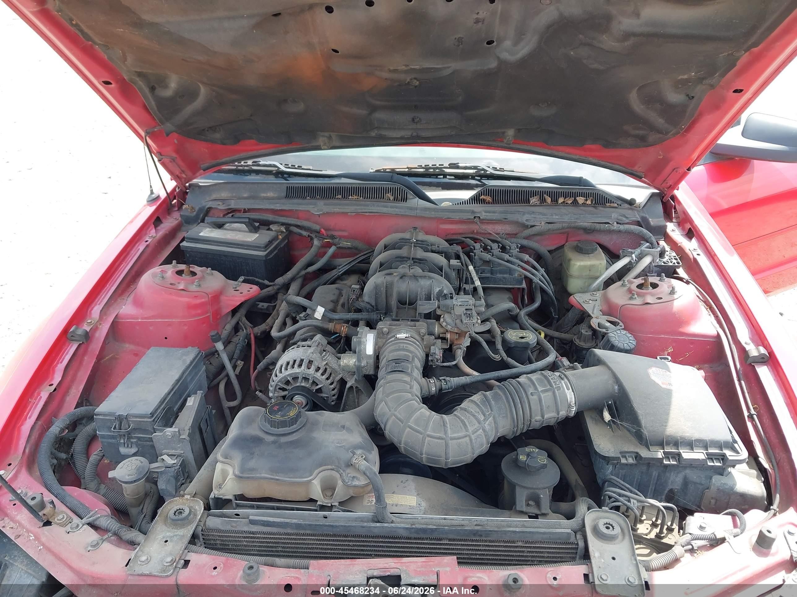 2006 Ford Mustang V6 Red vin: 1ZVFT84N665189140
