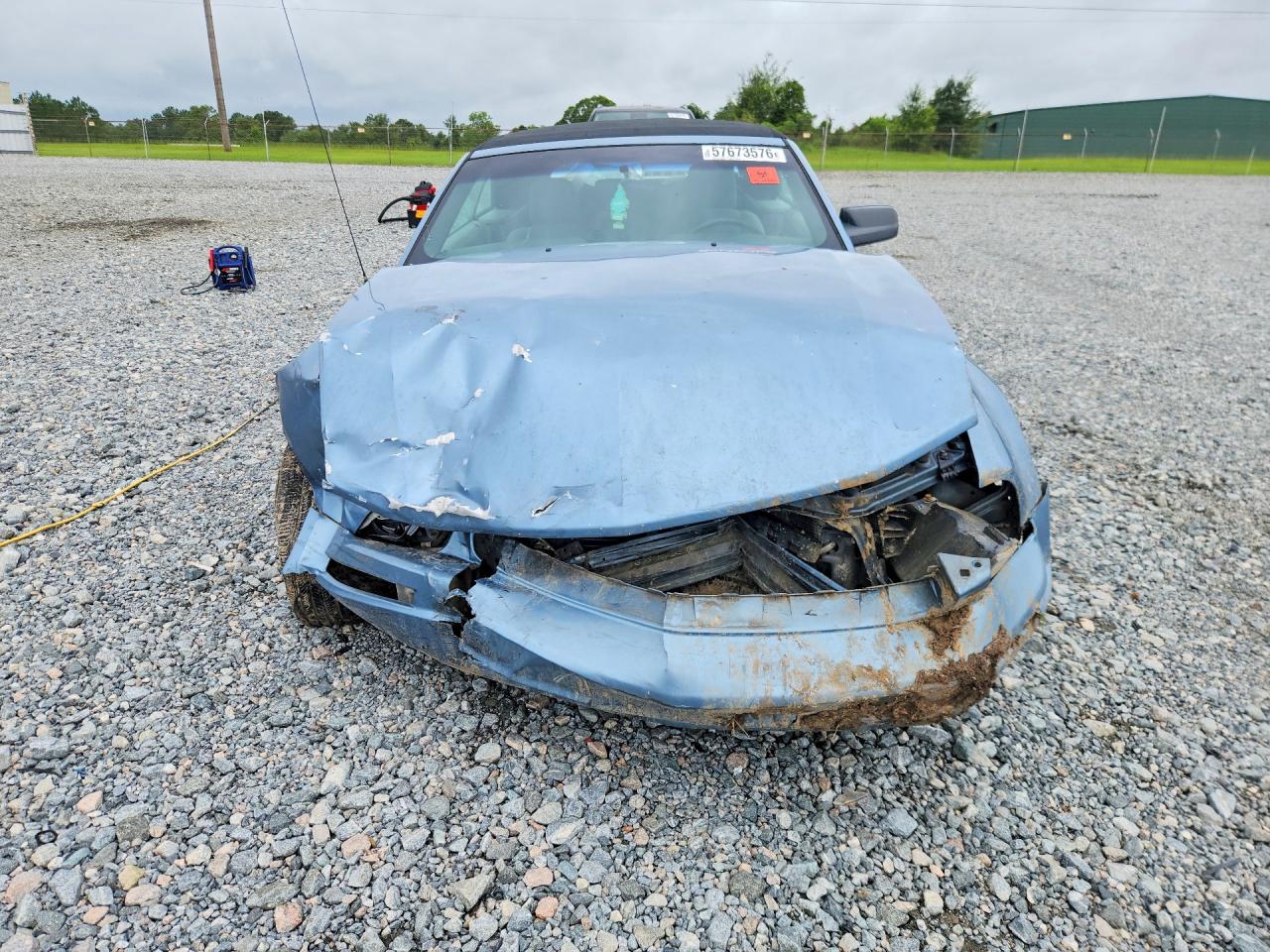 2006 Ford Mustang Blue vin: 1ZVFT84N665226591