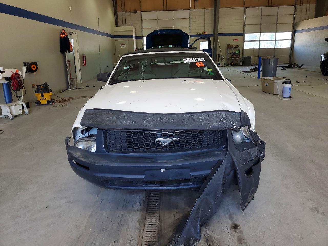 2005 Ford Mustang Белый vin: 1ZVFT84N755214674