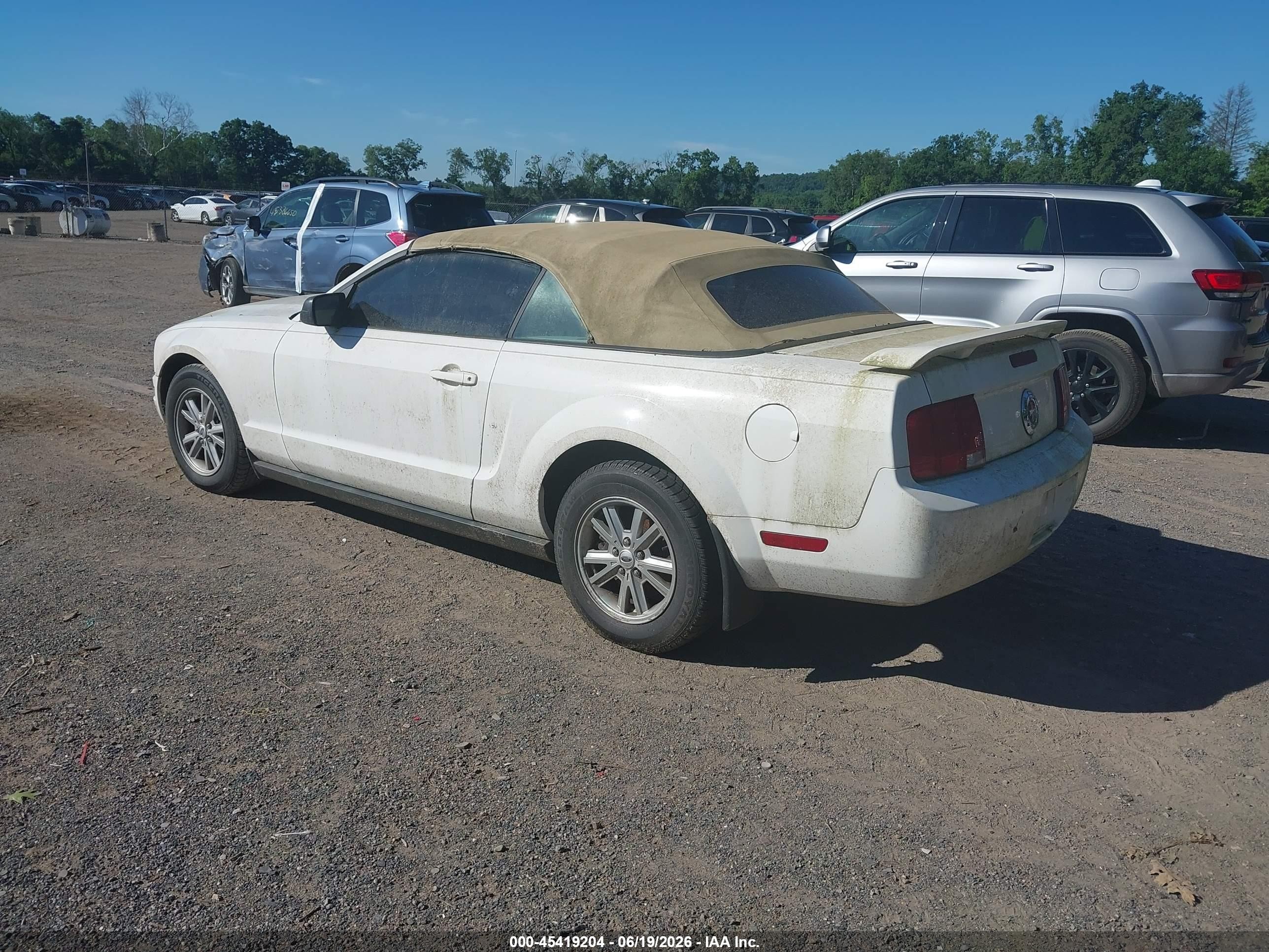 2006 Ford Mustang V6 White vin: 1ZVFT84N765178406
