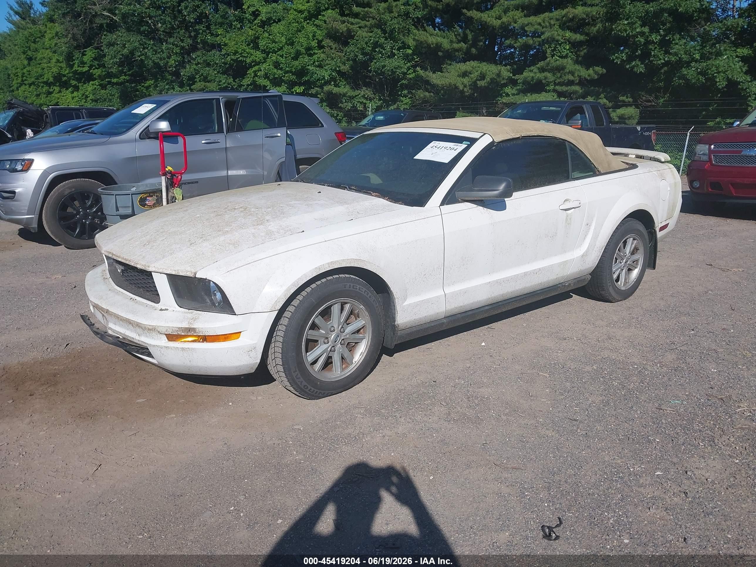2006 Ford Mustang V6 White vin: 1ZVFT84N765178406