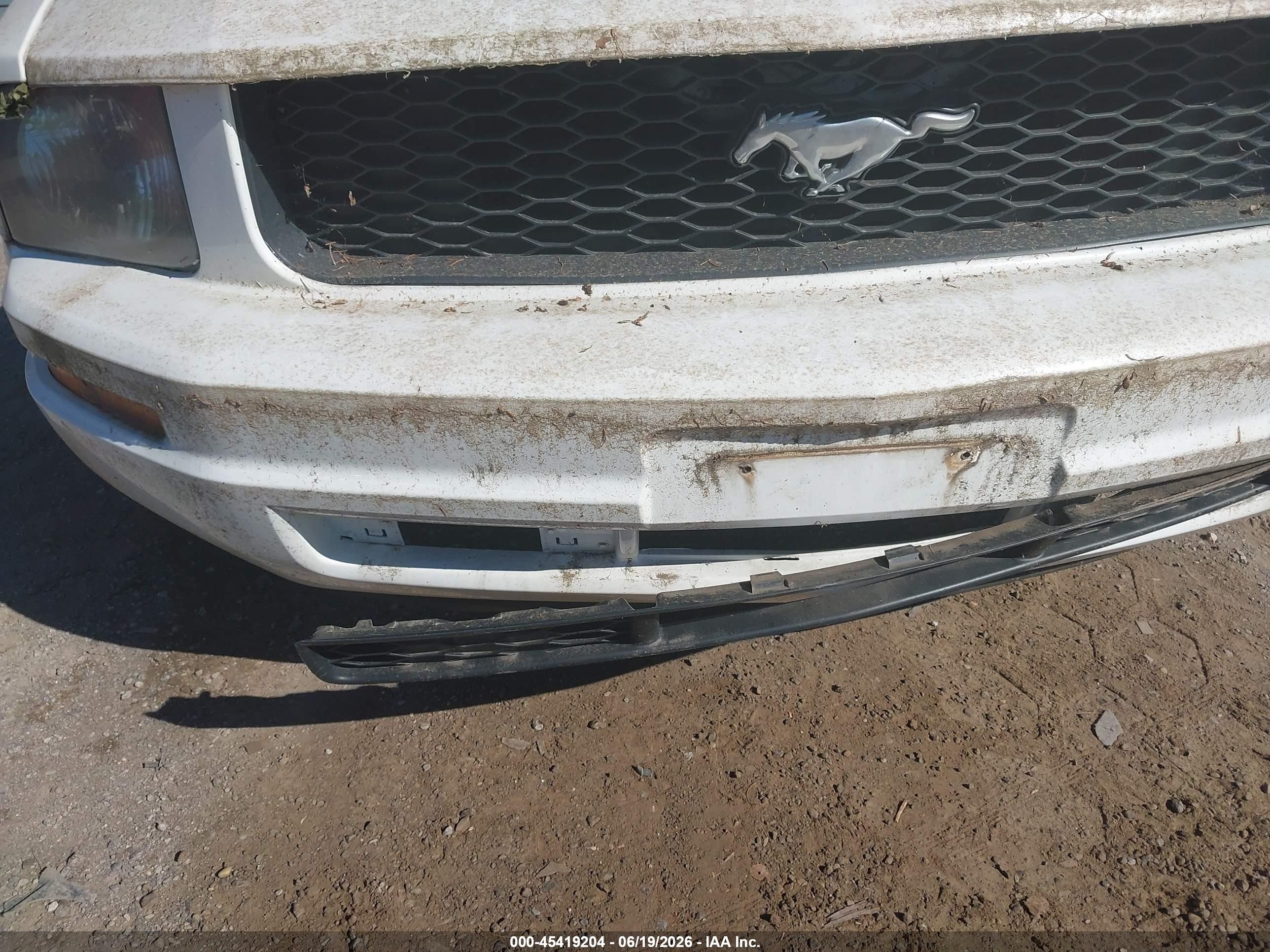 2006 Ford Mustang V6 White vin: 1ZVFT84N765178406