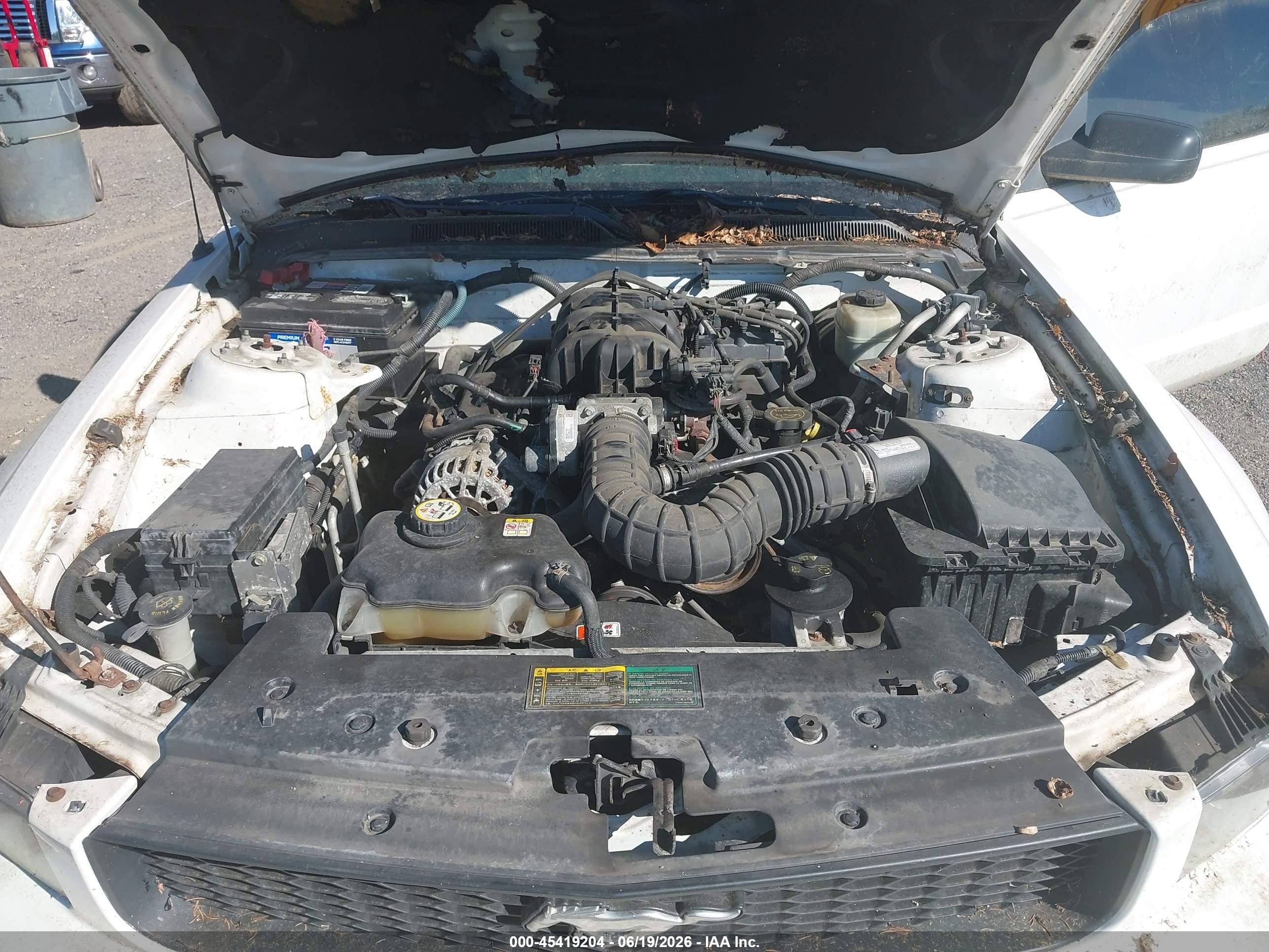 2006 Ford Mustang V6 White vin: 1ZVFT84N765178406