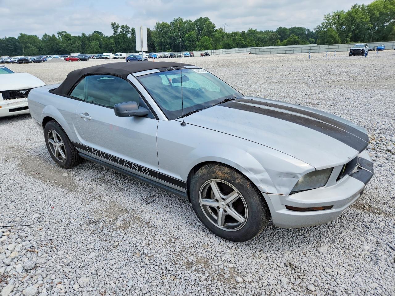 2005 Ford Mustang Silver vin: 1ZVFT84N855191650
