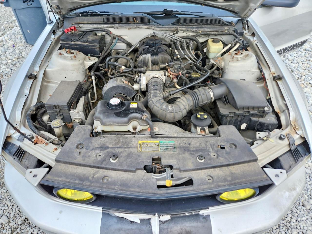 2005 Ford Mustang Silver vin: 1ZVFT84N855191650