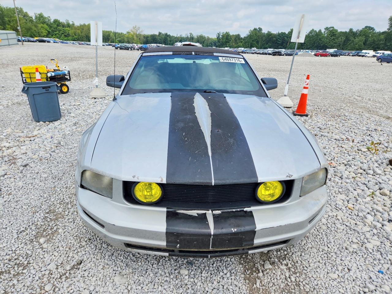 2005 Ford Mustang Silver vin: 1ZVFT84N855191650