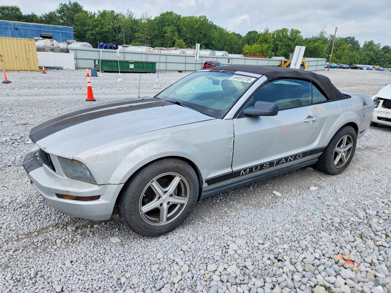 2005 Ford Mustang Silver vin: 1ZVFT84N855191650