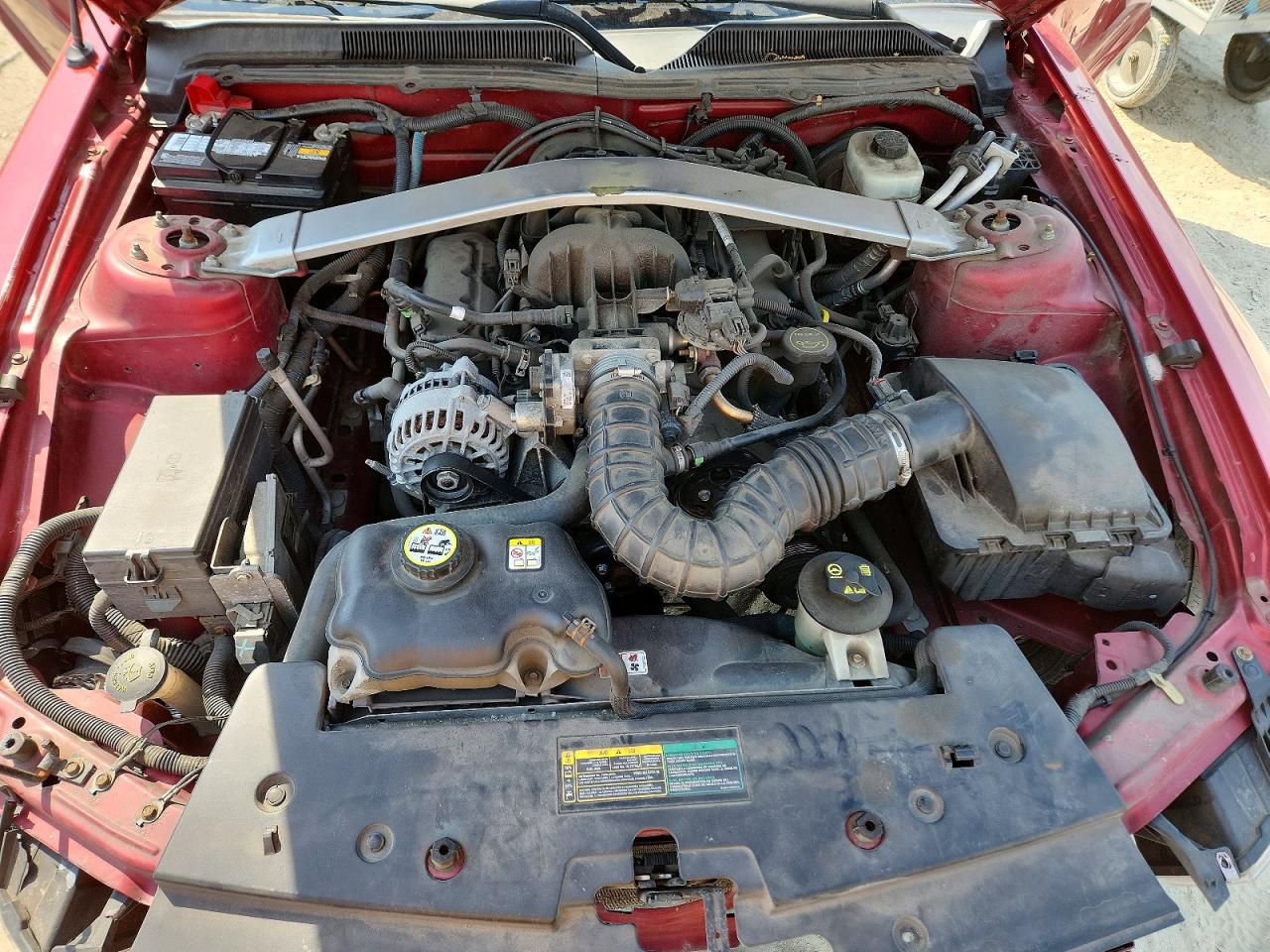 2007 Ford Mustang Red vin: 1ZVFT84N875296773