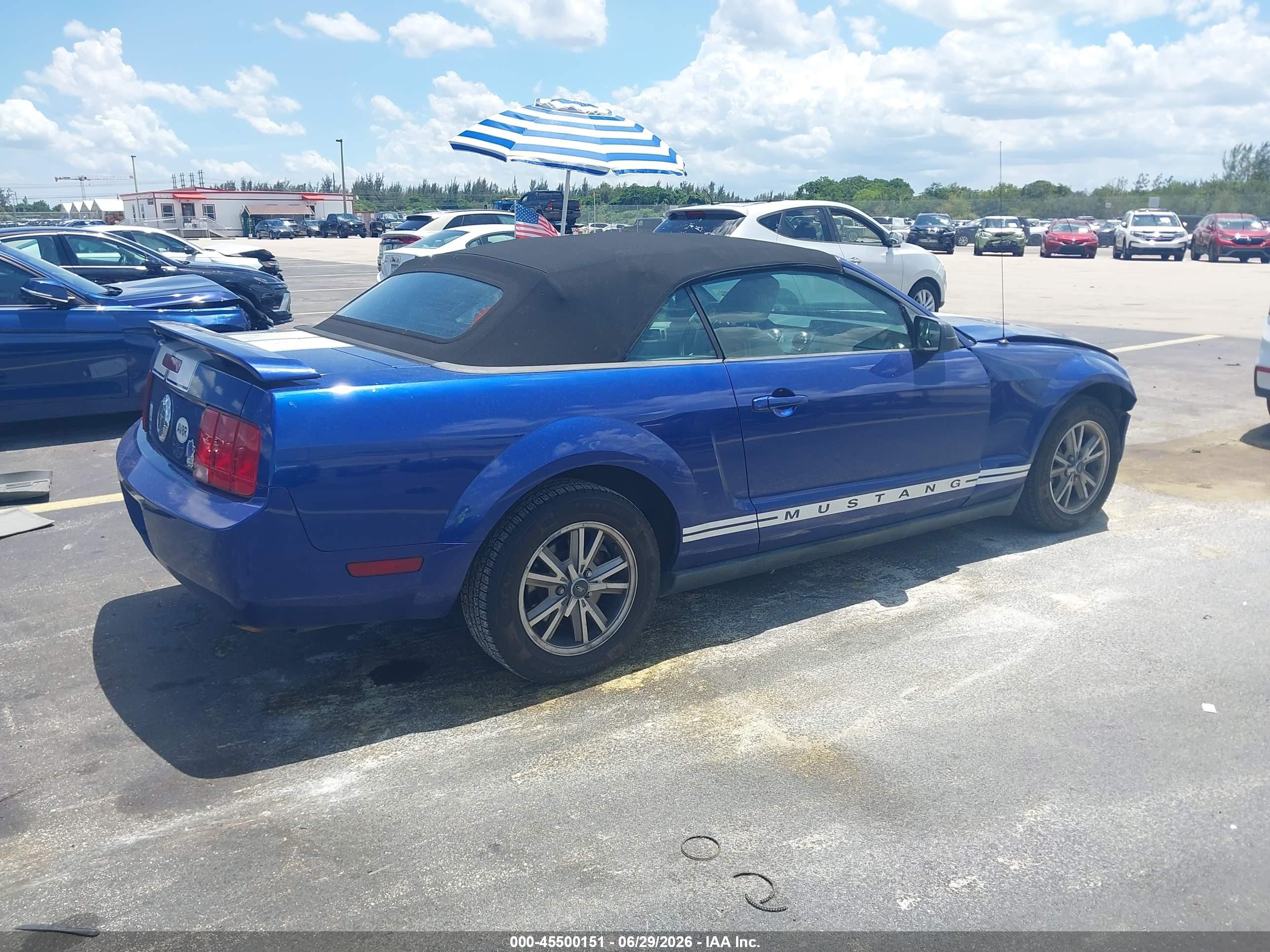 2005 Ford Mustang   Blue vin: 1ZVFT84N955199241