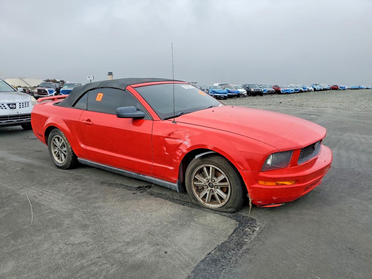 2005 Ford Mustang Red vin: 1ZVFT84N955208679