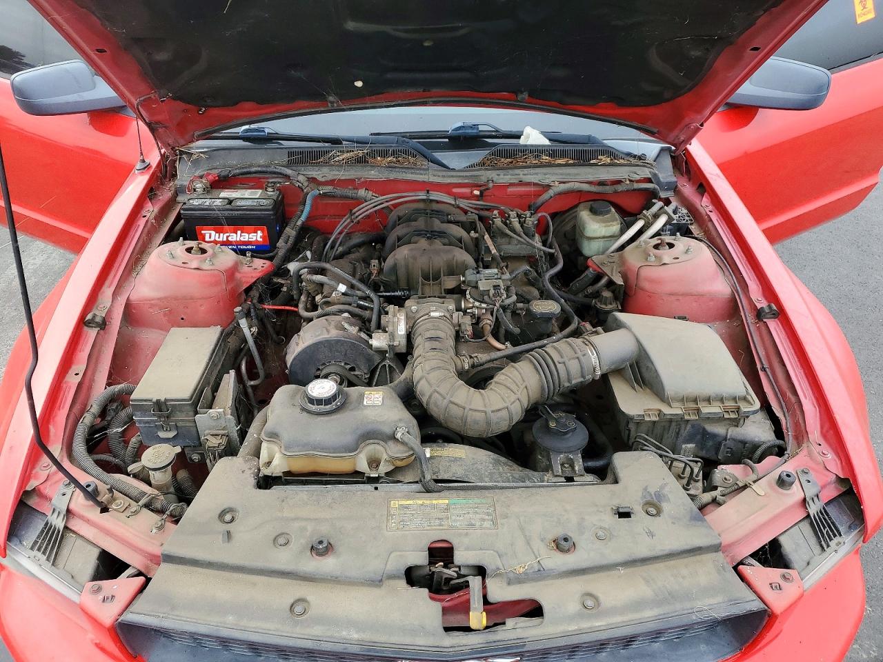 2005 Ford Mustang Red vin: 1ZVFT84N955208679