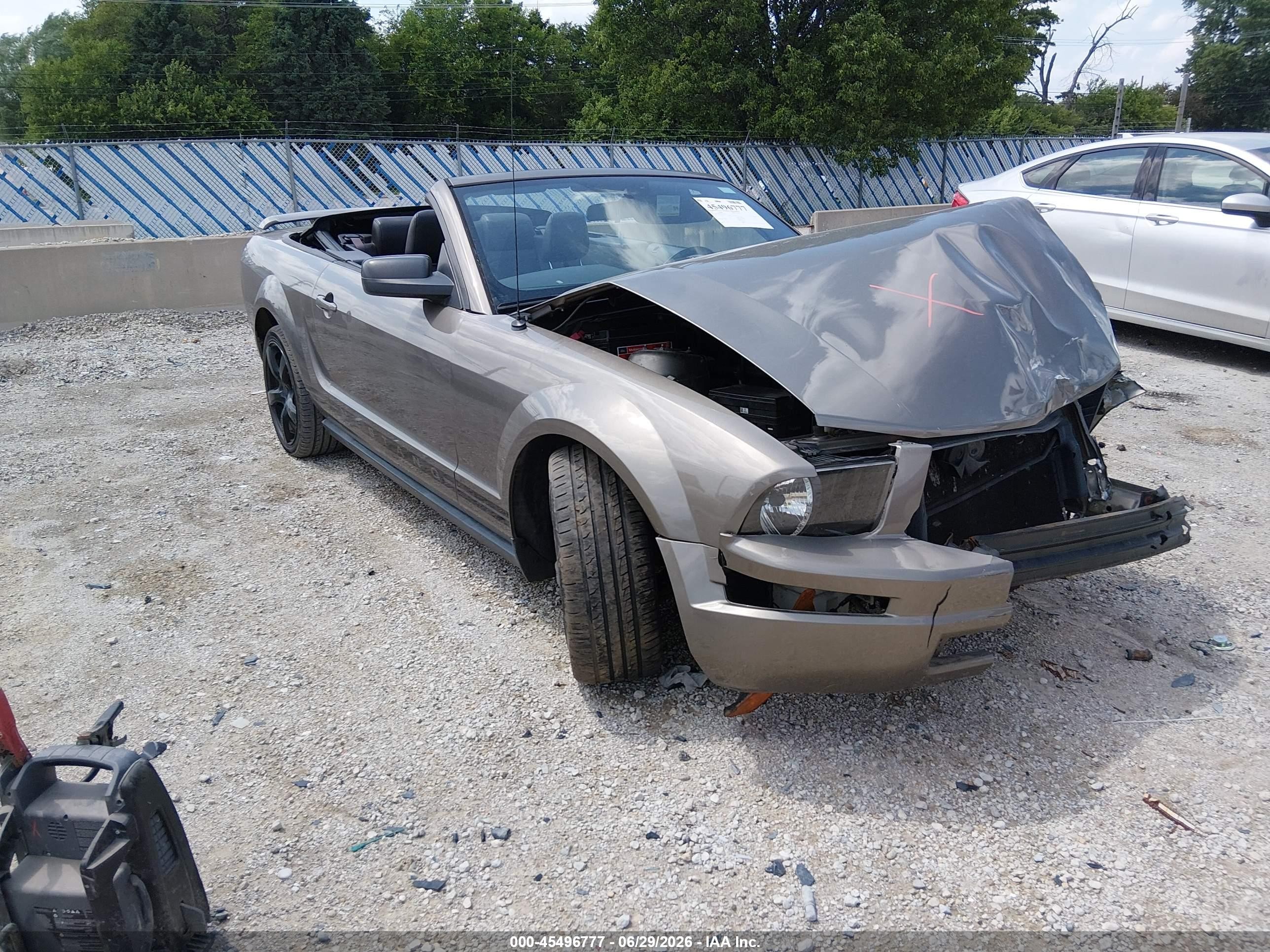 2005 Ford Mustang   Серый vin: 1ZVFT84N955232299