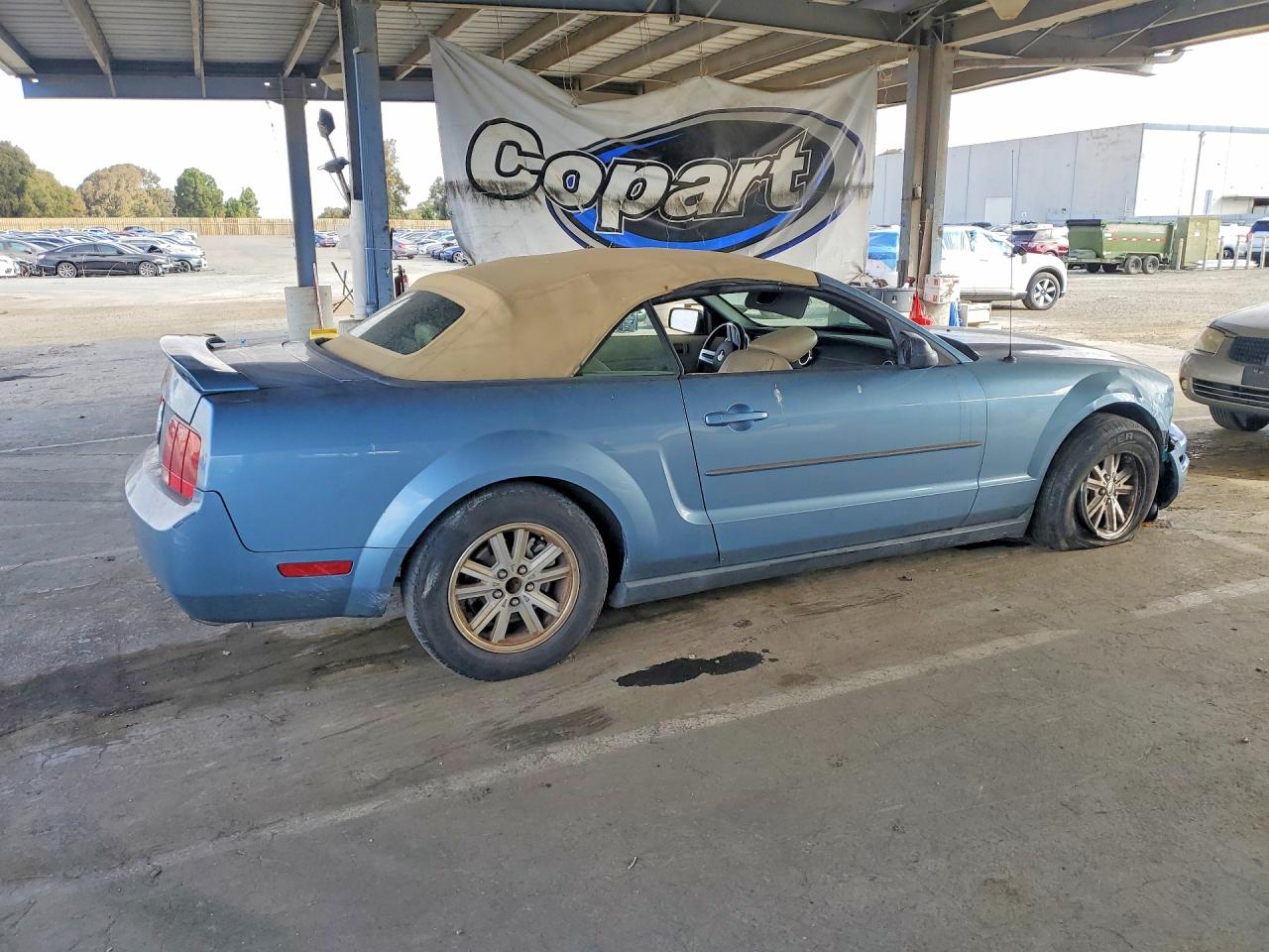 2006 Ford Mustang Silver vin: 1ZVFT84N965206366