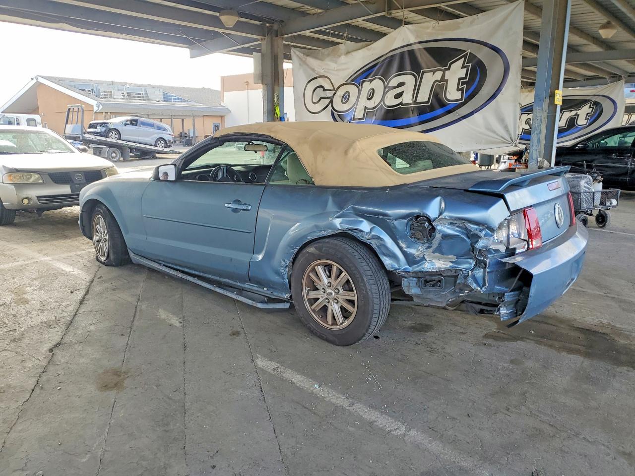2006 Ford Mustang Silver vin: 1ZVFT84N965206366