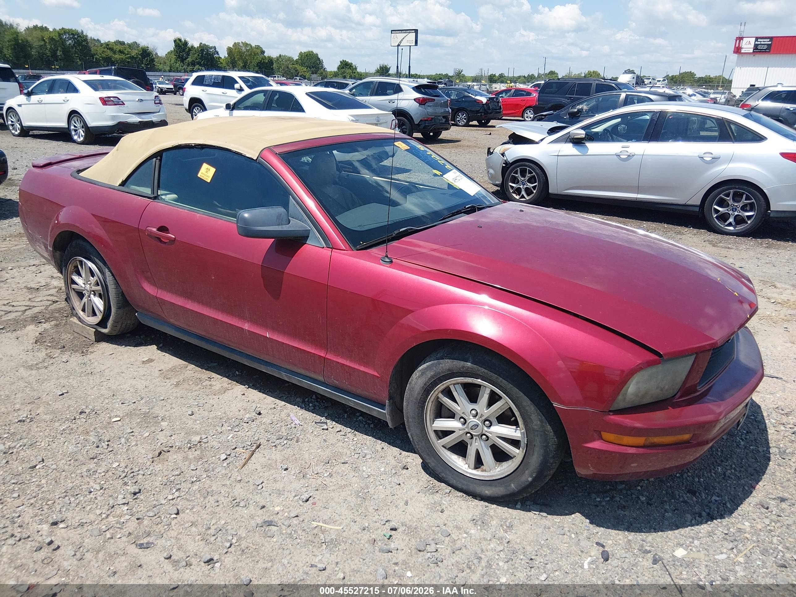 2007 Ford Mustang V6 Deluxe/v6 Premium Red vin: 1ZVFT84N975262115