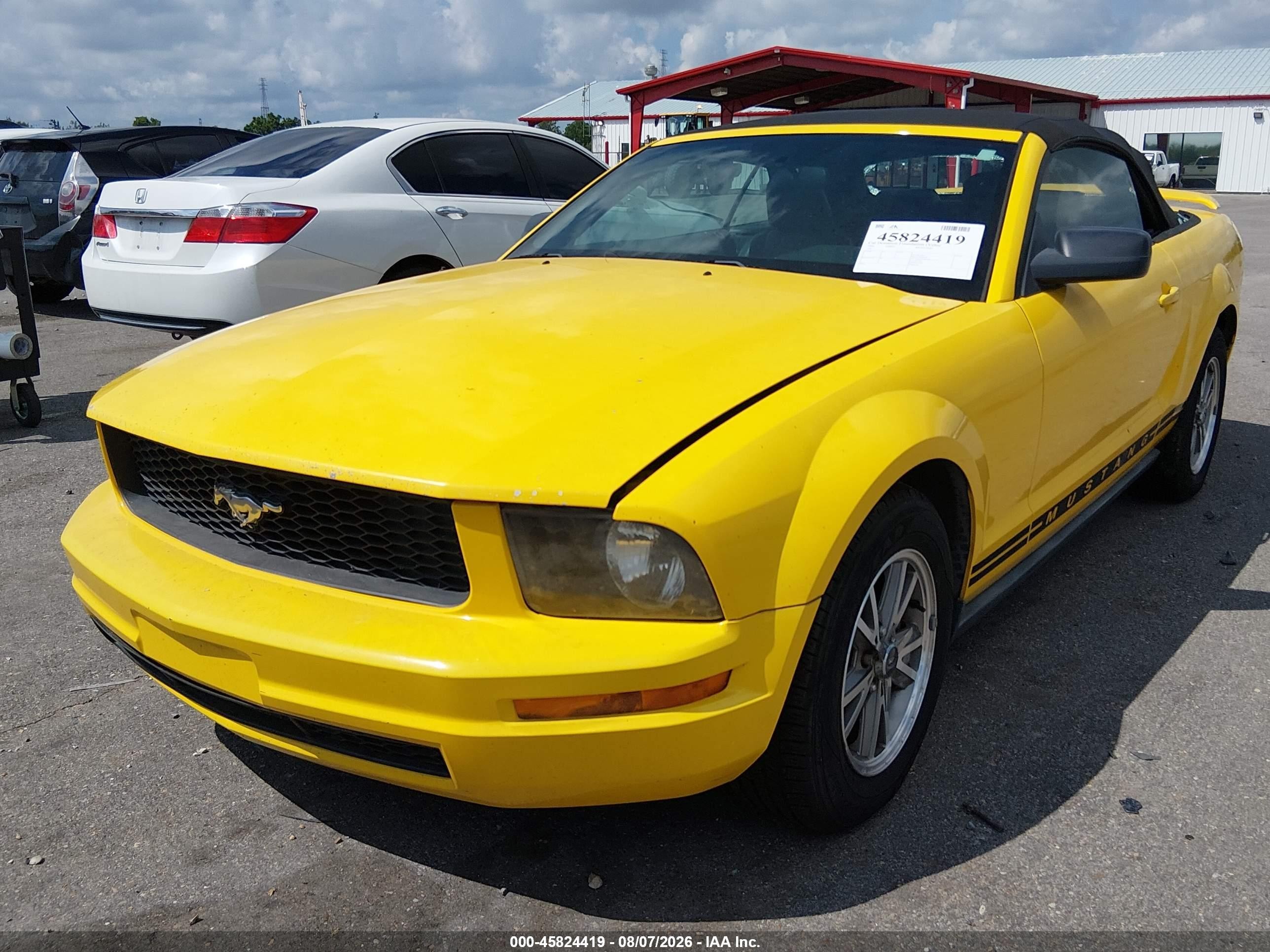 2005 Ford Mustang   Yellow vin: 1ZVFT84NX55198163