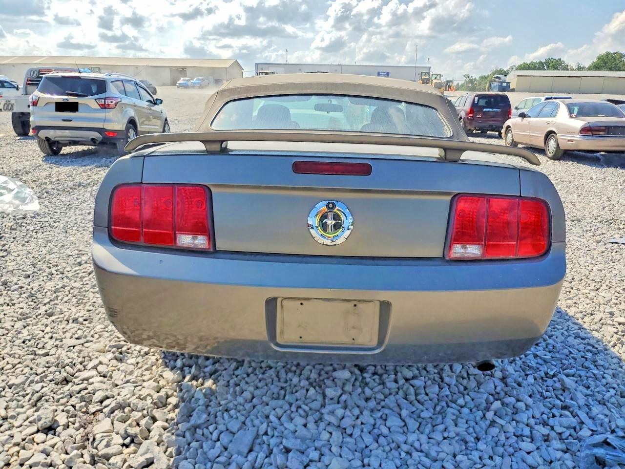 2005 Ford Mustang Серый vin: 1ZVFT84NX55220310