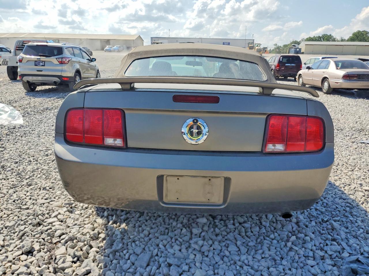 2005 Ford Mustang Серый vin: 1ZVFT84NX55220310
