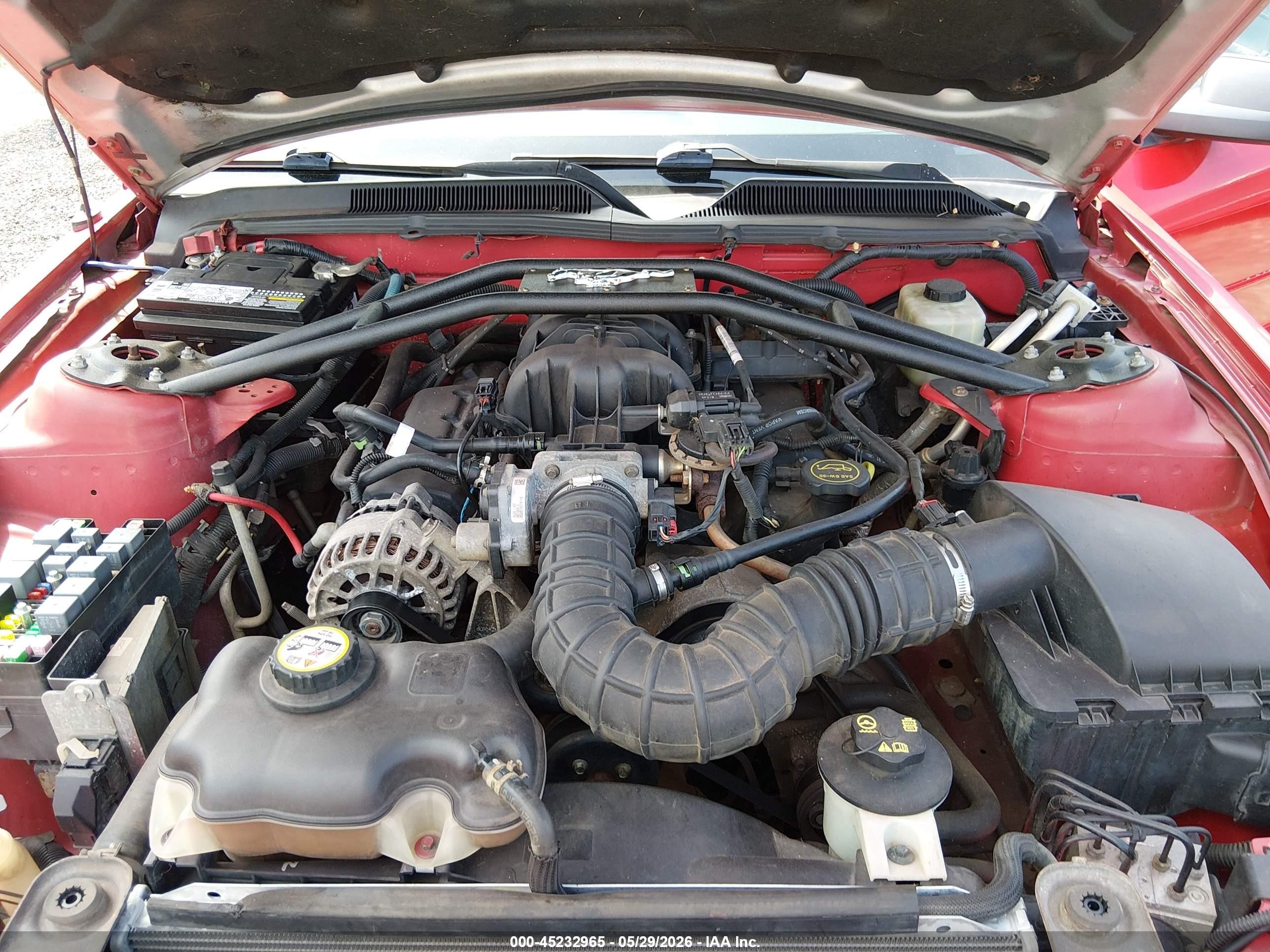 2006 Ford Mustang V6 Red vin: 1ZVFT84NX65138675