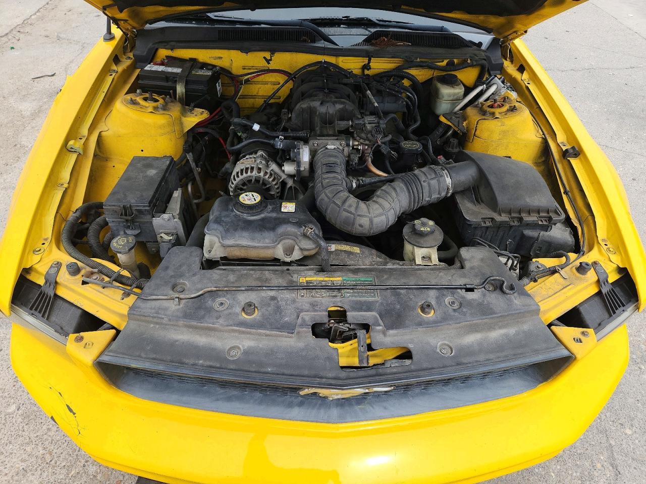 2006 Ford Mustang Yellow vin: 1ZVFT84NX65206117