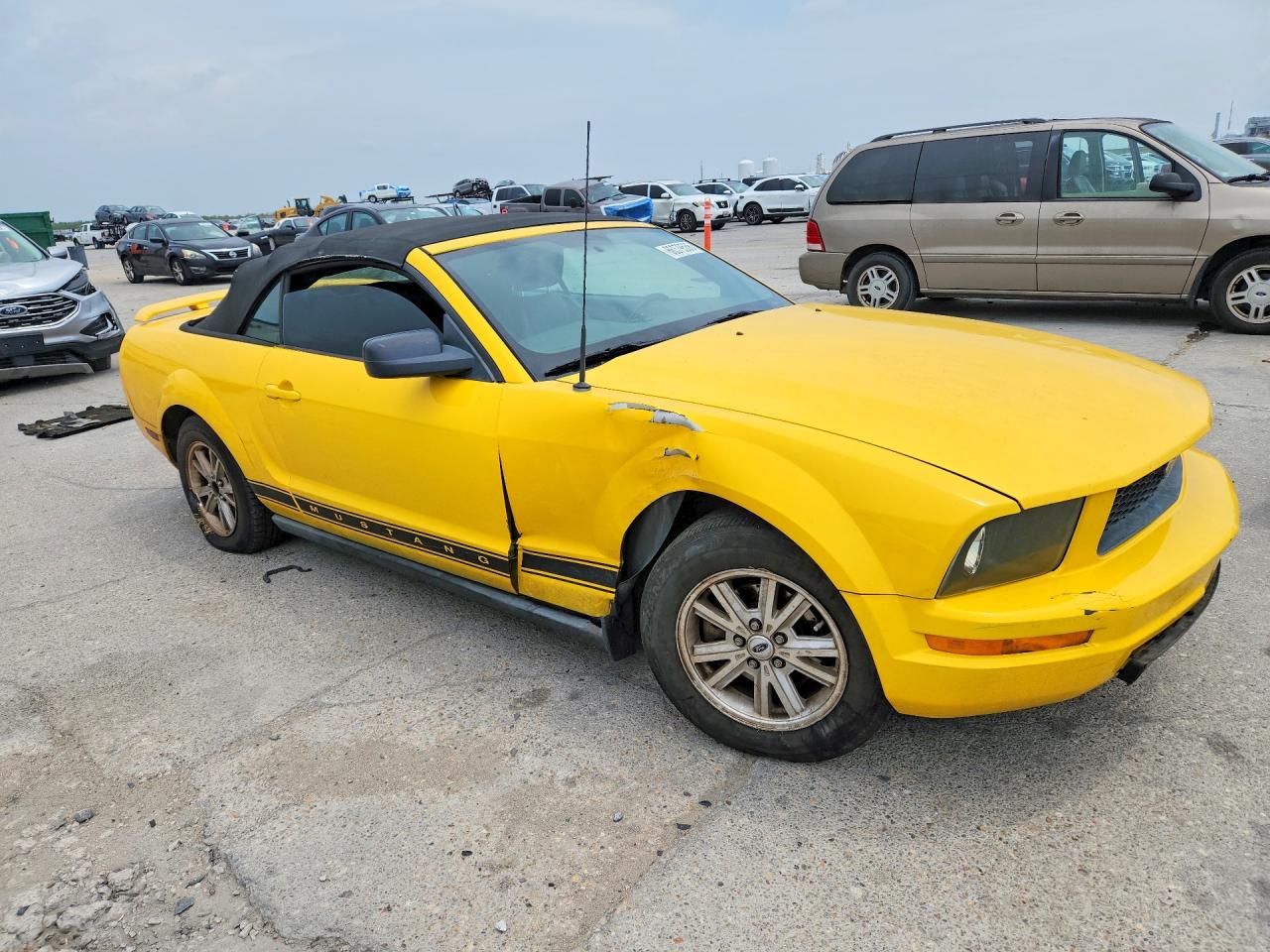 2006 Ford Mustang Yellow vin: 1ZVFT84NX65206117
